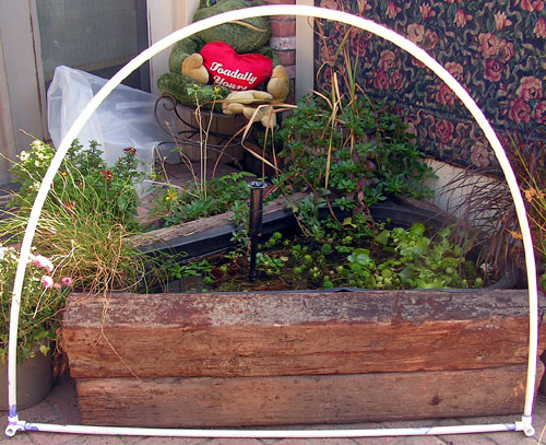 cold frame07.jpg