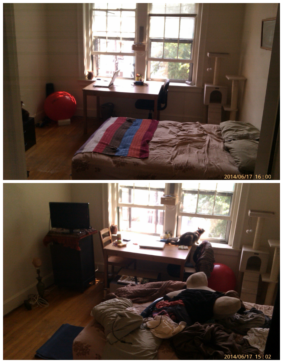 collage2.jpg