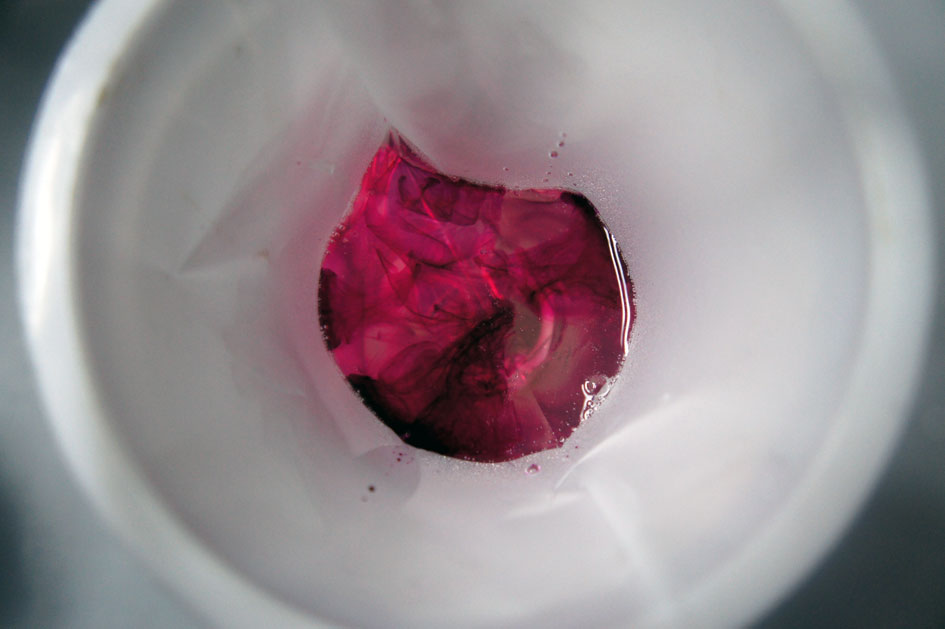 color02.jpg