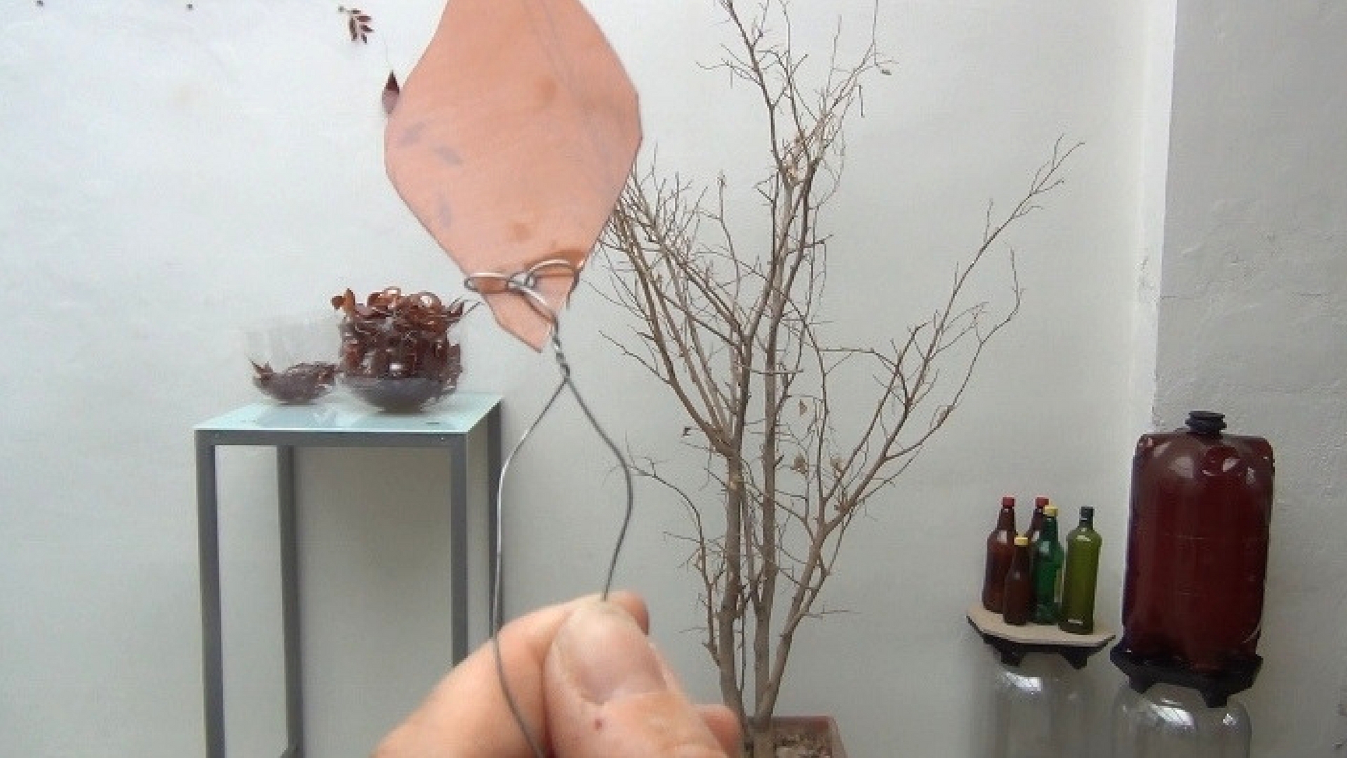 como hacer un &aacute;rbol con envases de pl&aacute;stico y ramas secas (3).jpg