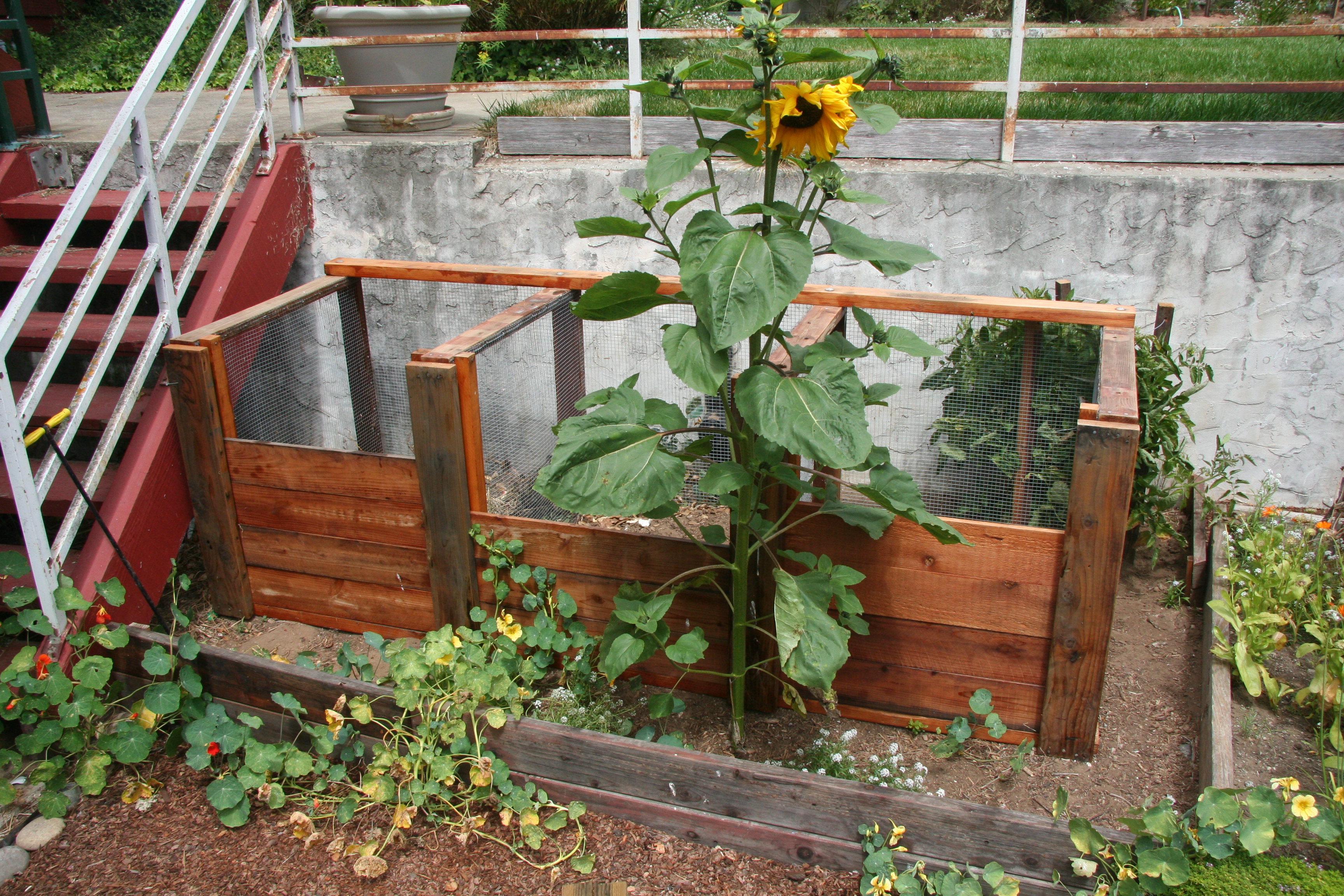 compost bin! 009.JPG