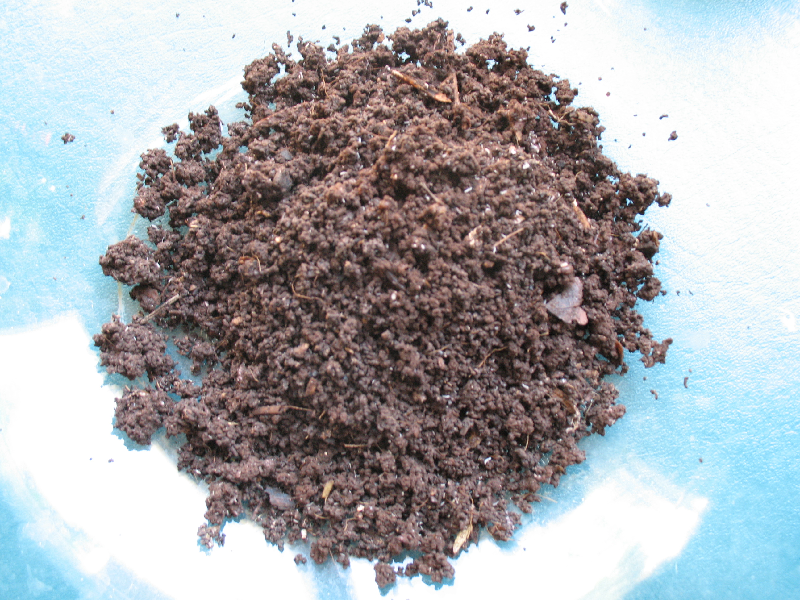 compost that is fertilizer.JPG