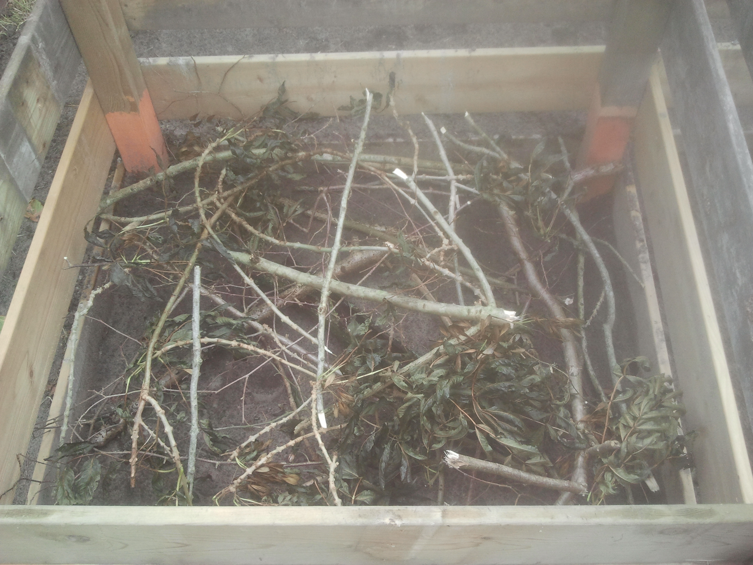 compost-branches