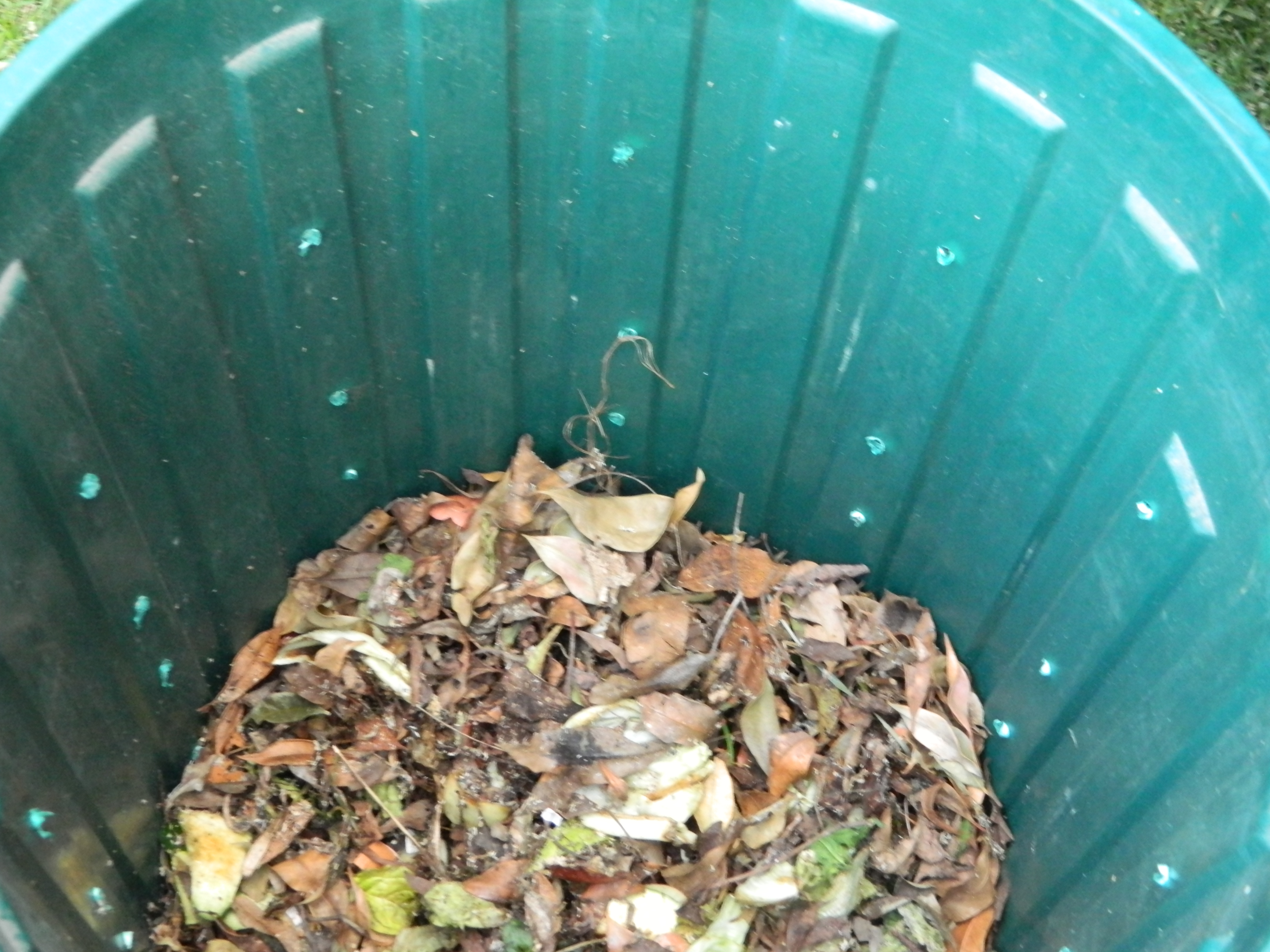 compost_step5.JPG