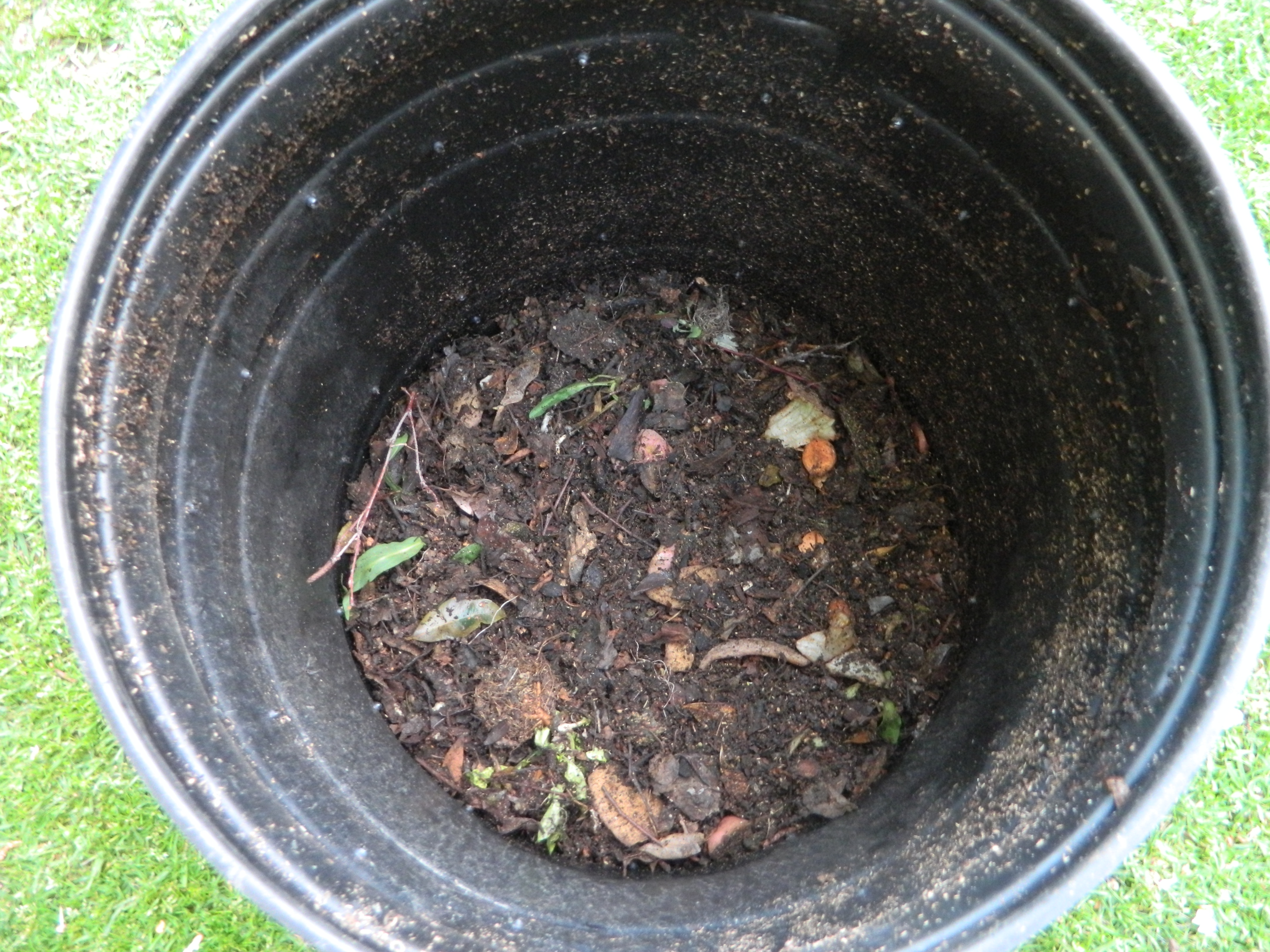 compost_step6.JPG