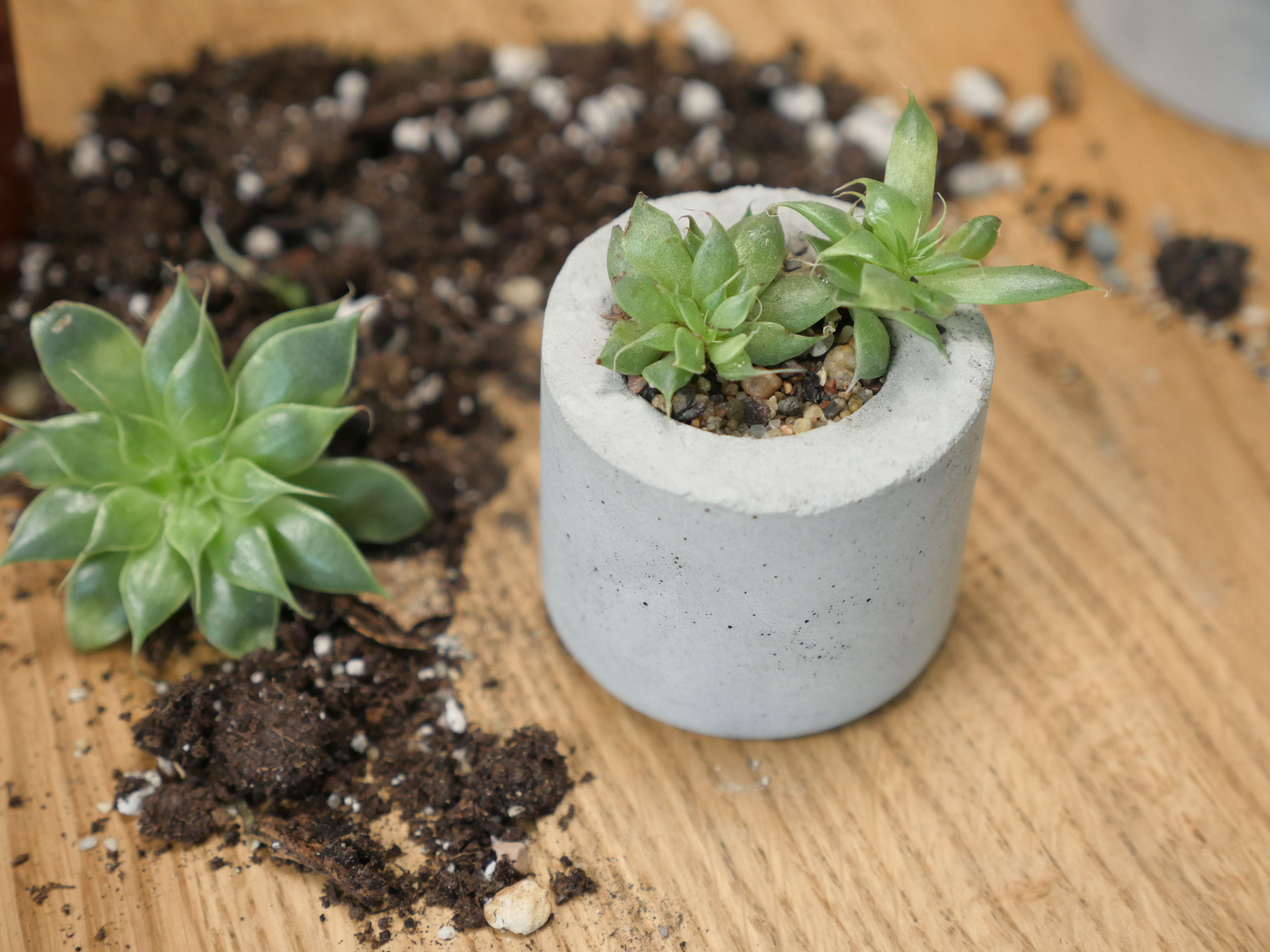 concrete planters 07.jpg