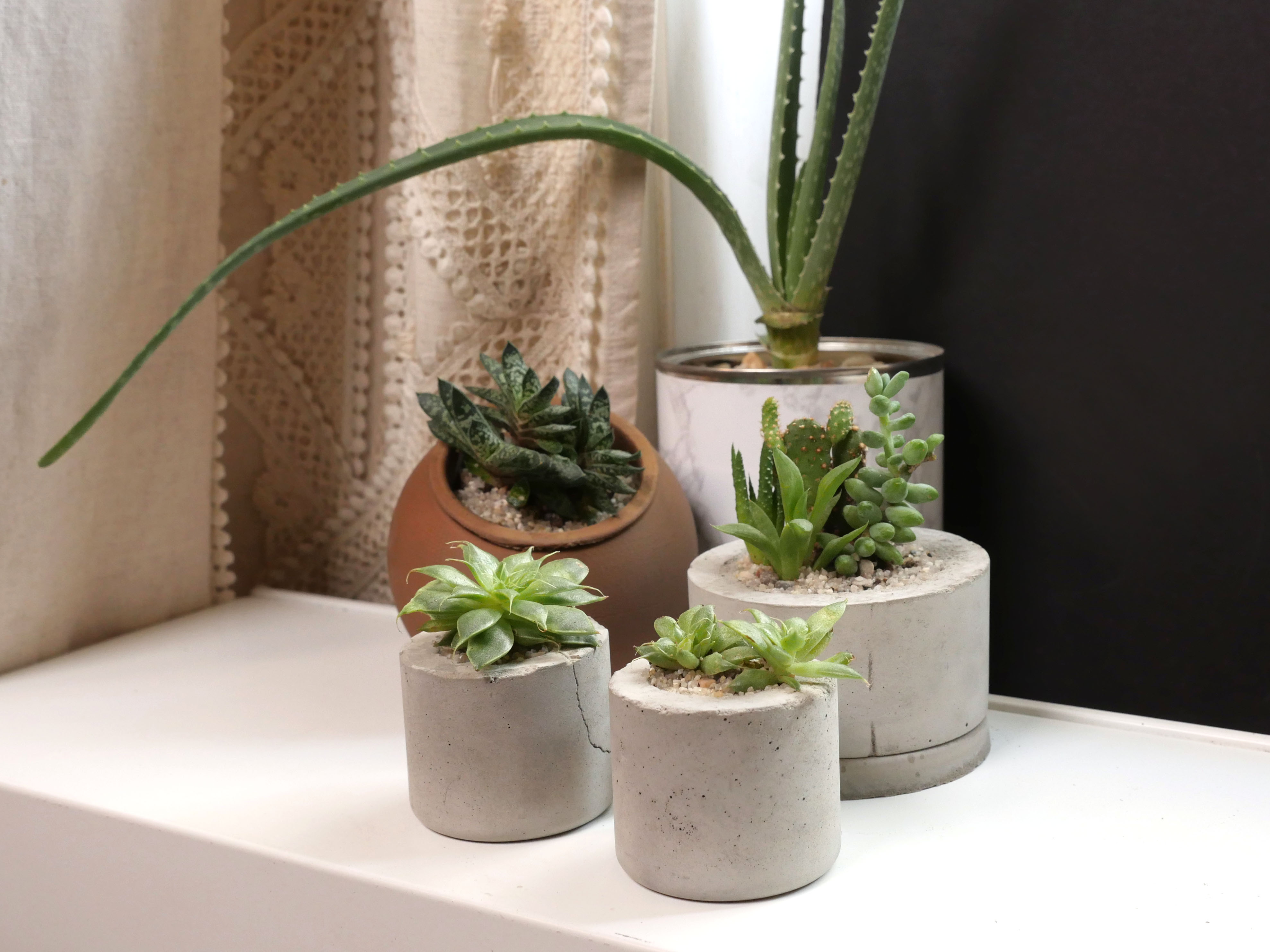 concrete planters 11.jpg