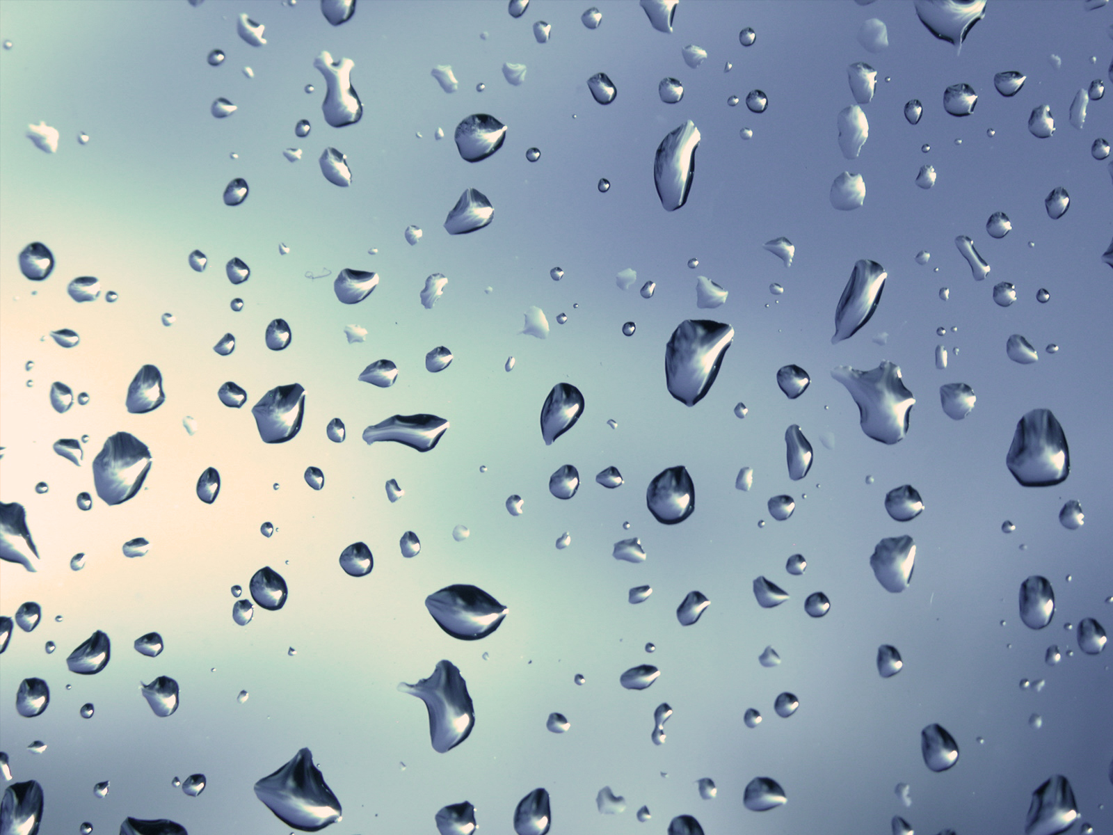 condensation-rain_00375421.jpg