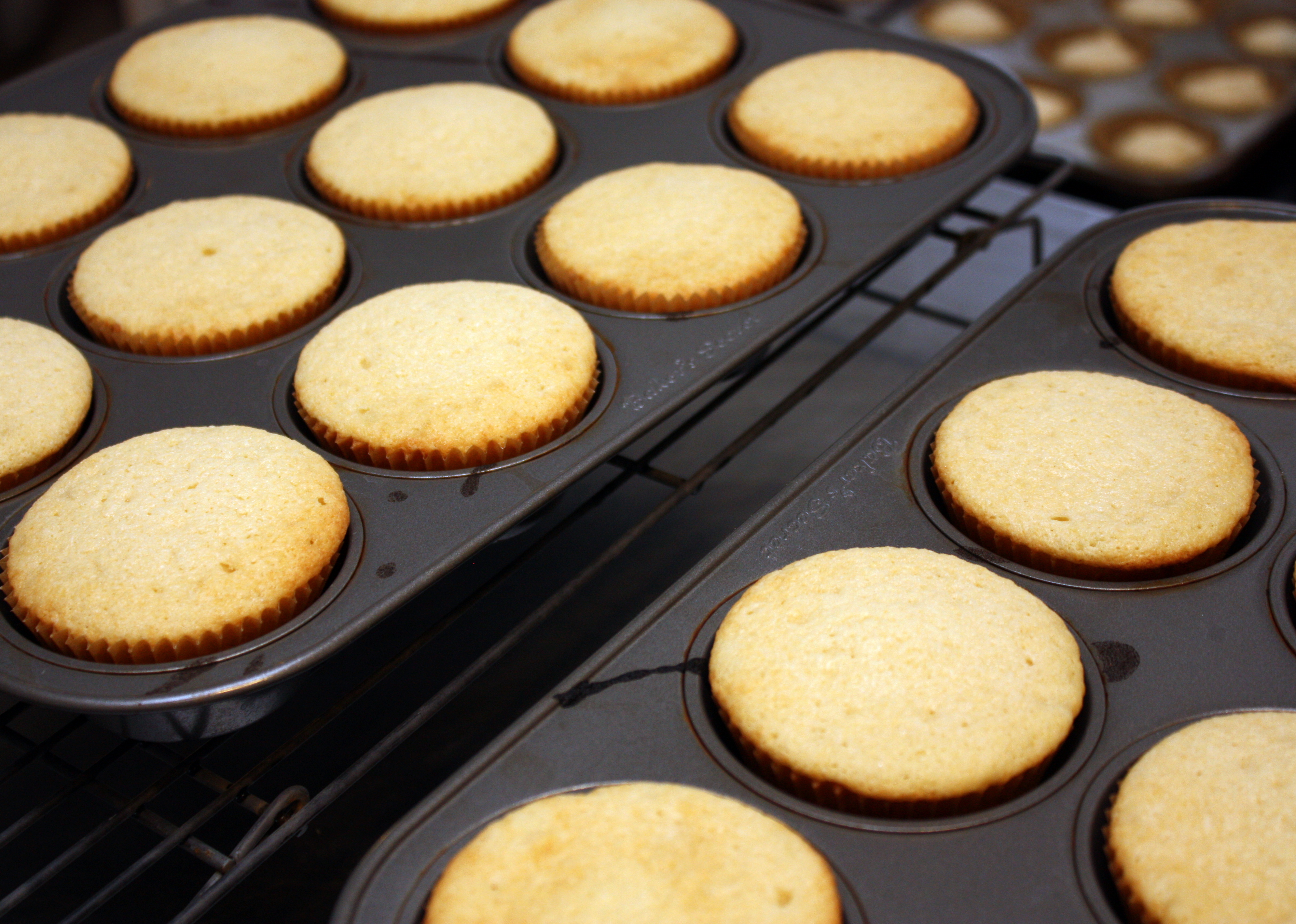 cooked cupcakes.jpg