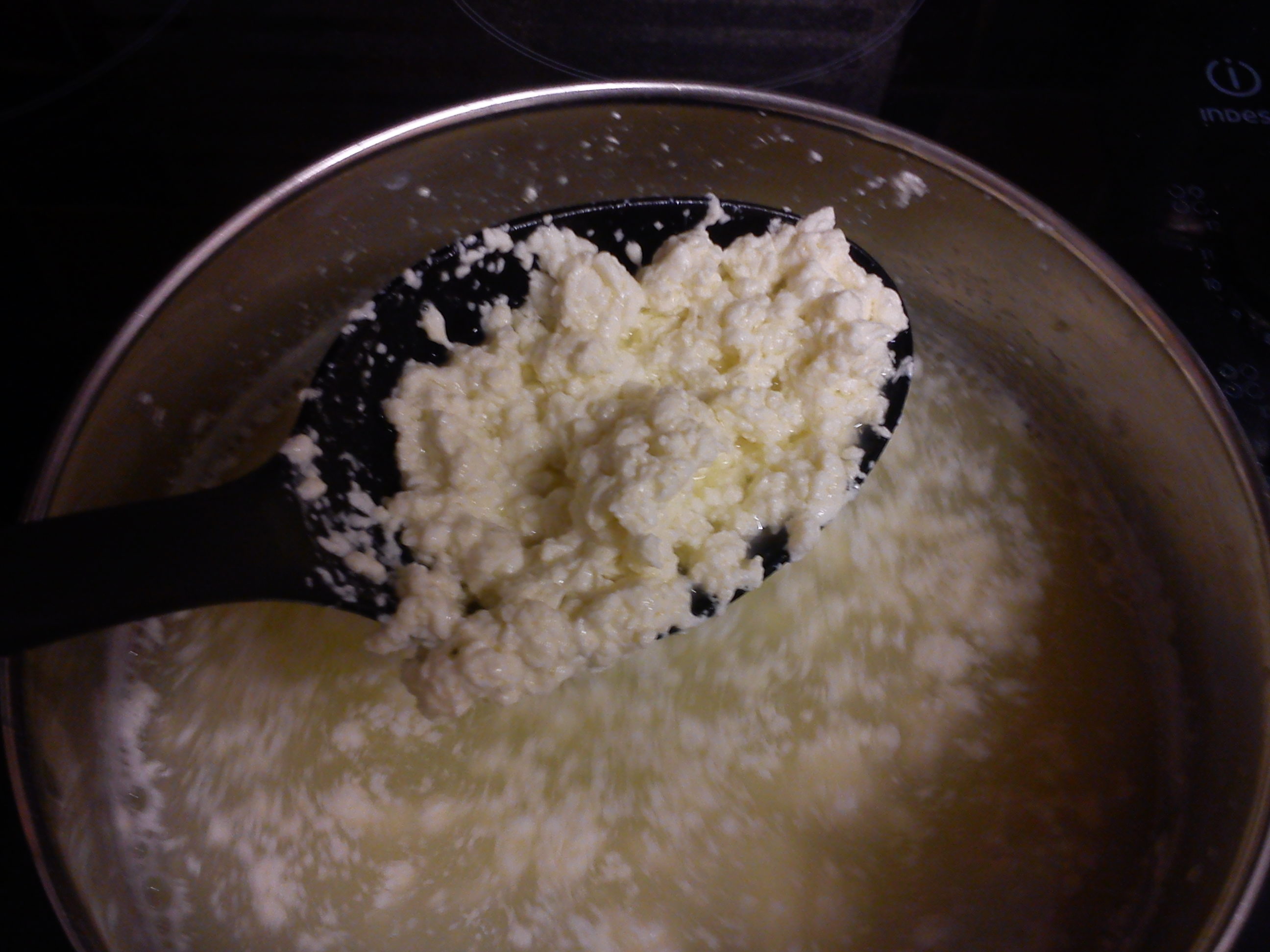 cooked curds.jpg