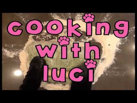 cooking with Luci - Making Upvote Biscuits with a tiny dog