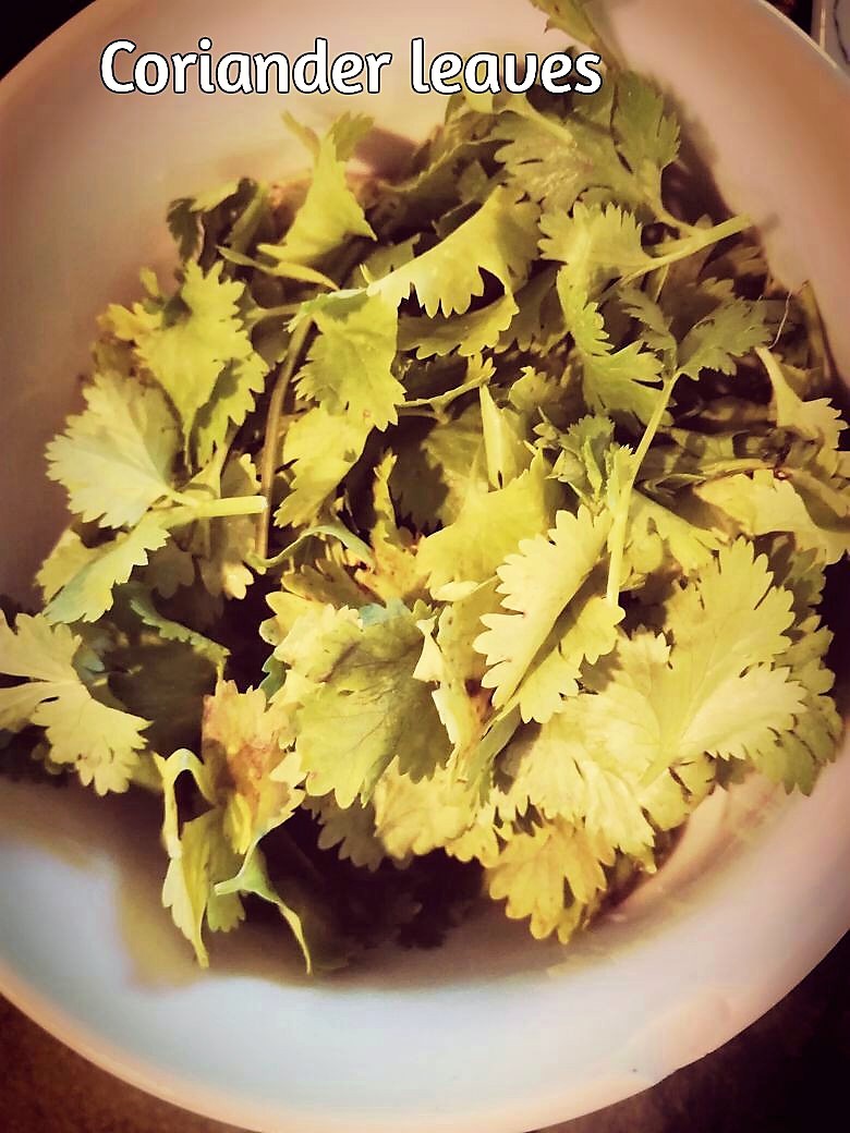 coriander leaves.jpg