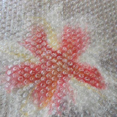 cover with bubble wrap.jpg