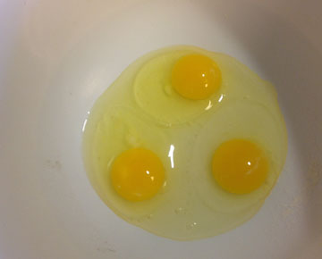 cracked eggs.jpg