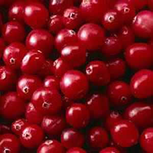 cranberries.jpg