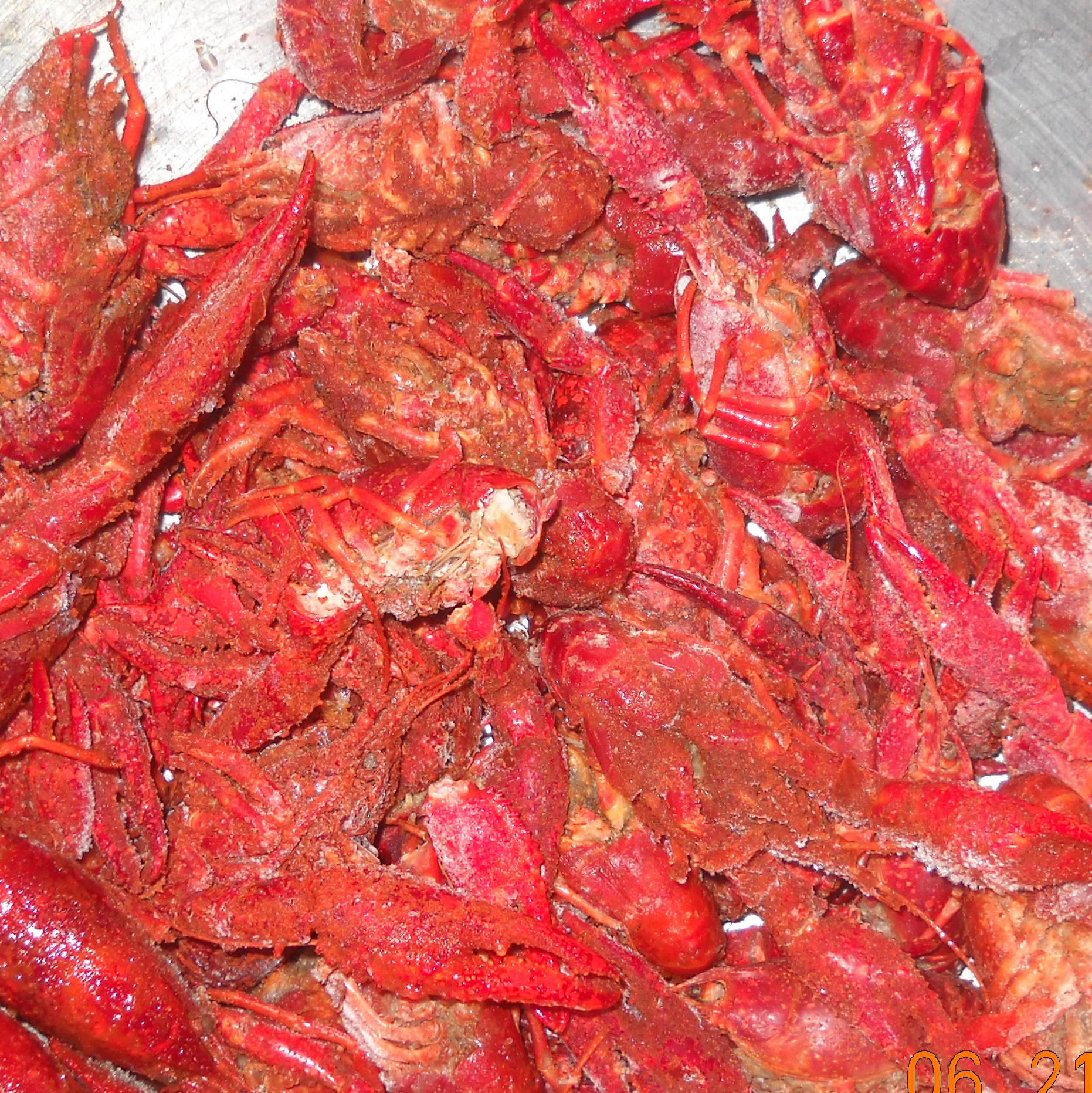 crayfish cropped.JPG