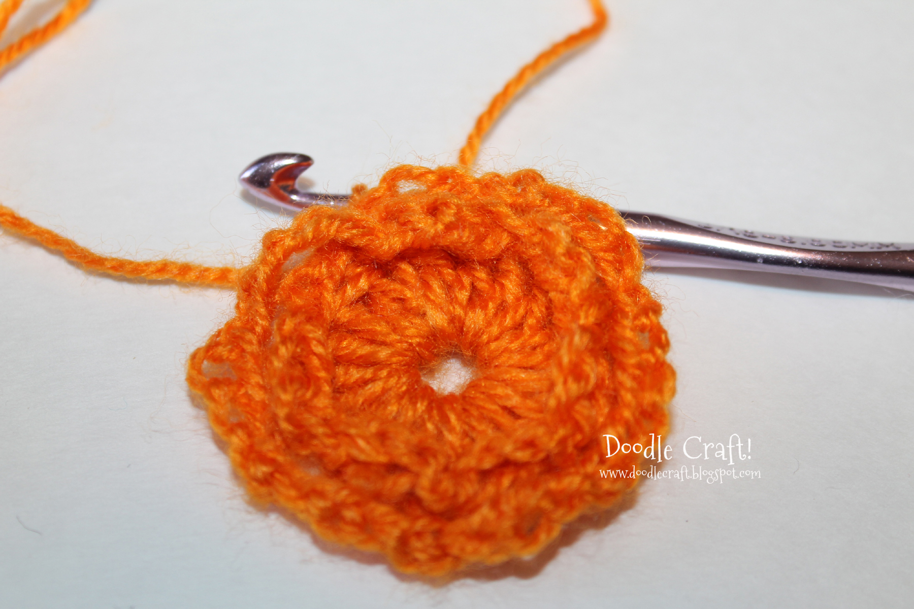 crochet a rosette step 11 completed chain around edge again.jpg