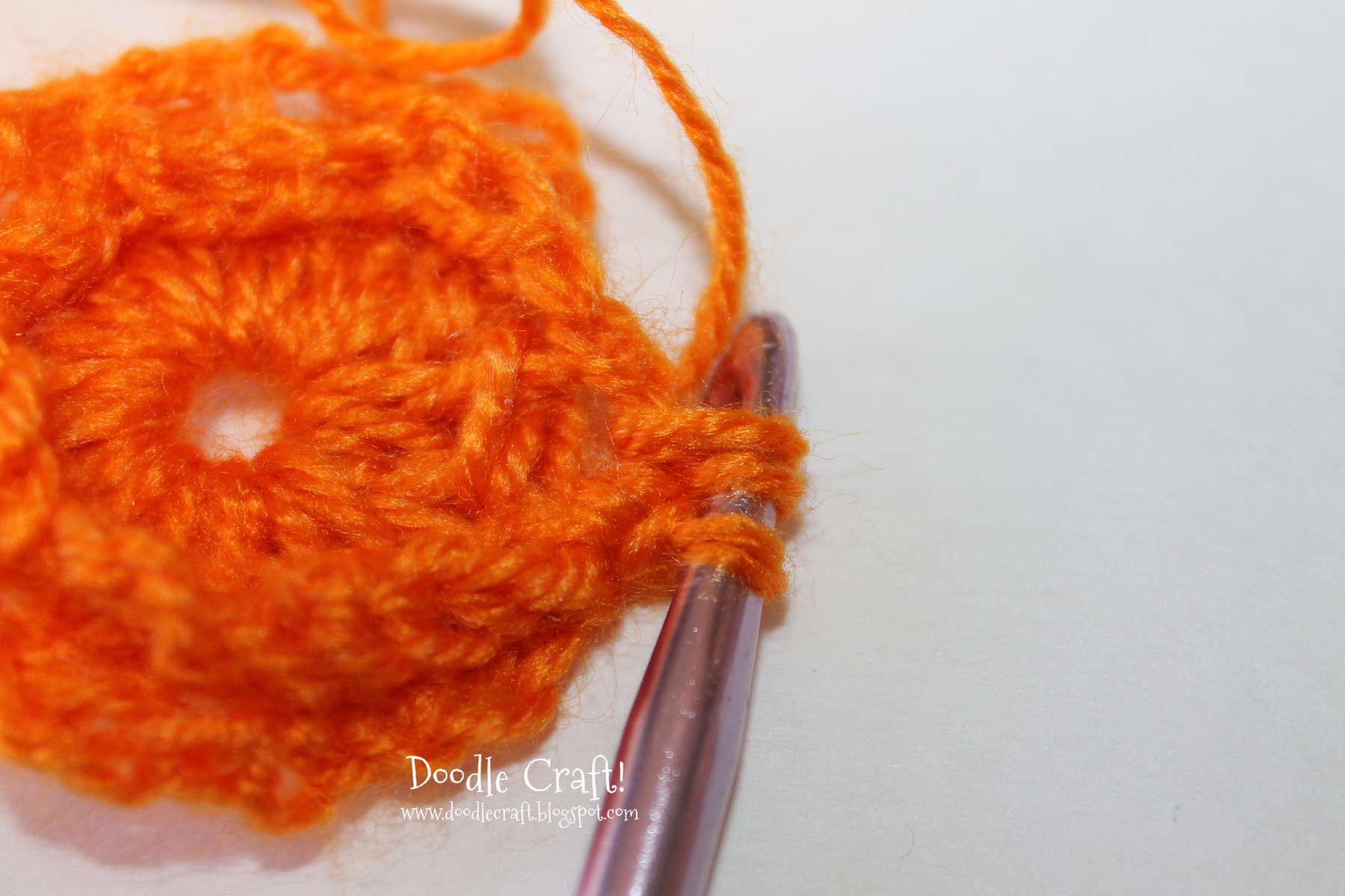 crochet a rosette step 12 begin flower petals.jpg