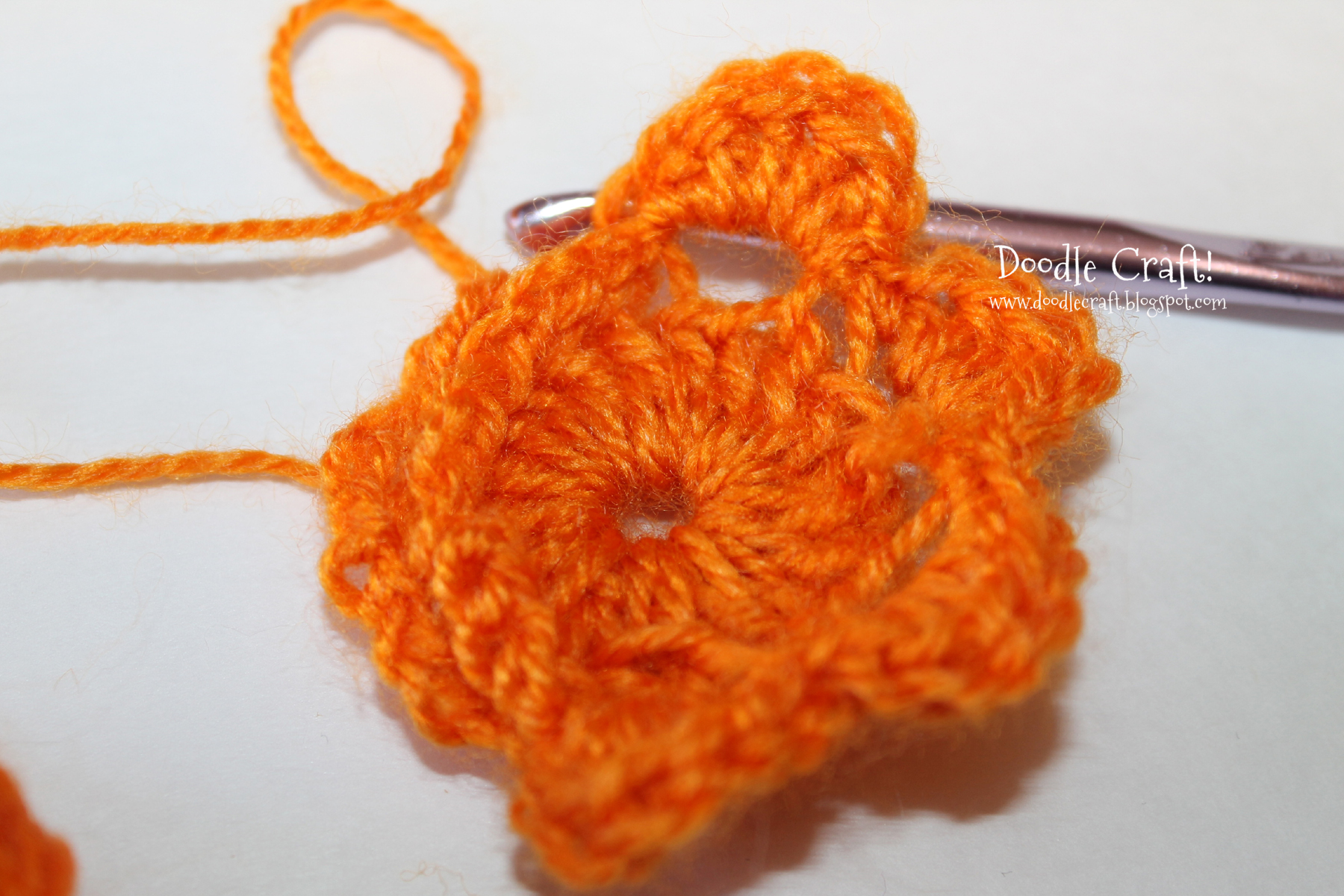 crochet a rosette step 14 around edge all flower petals.jpg