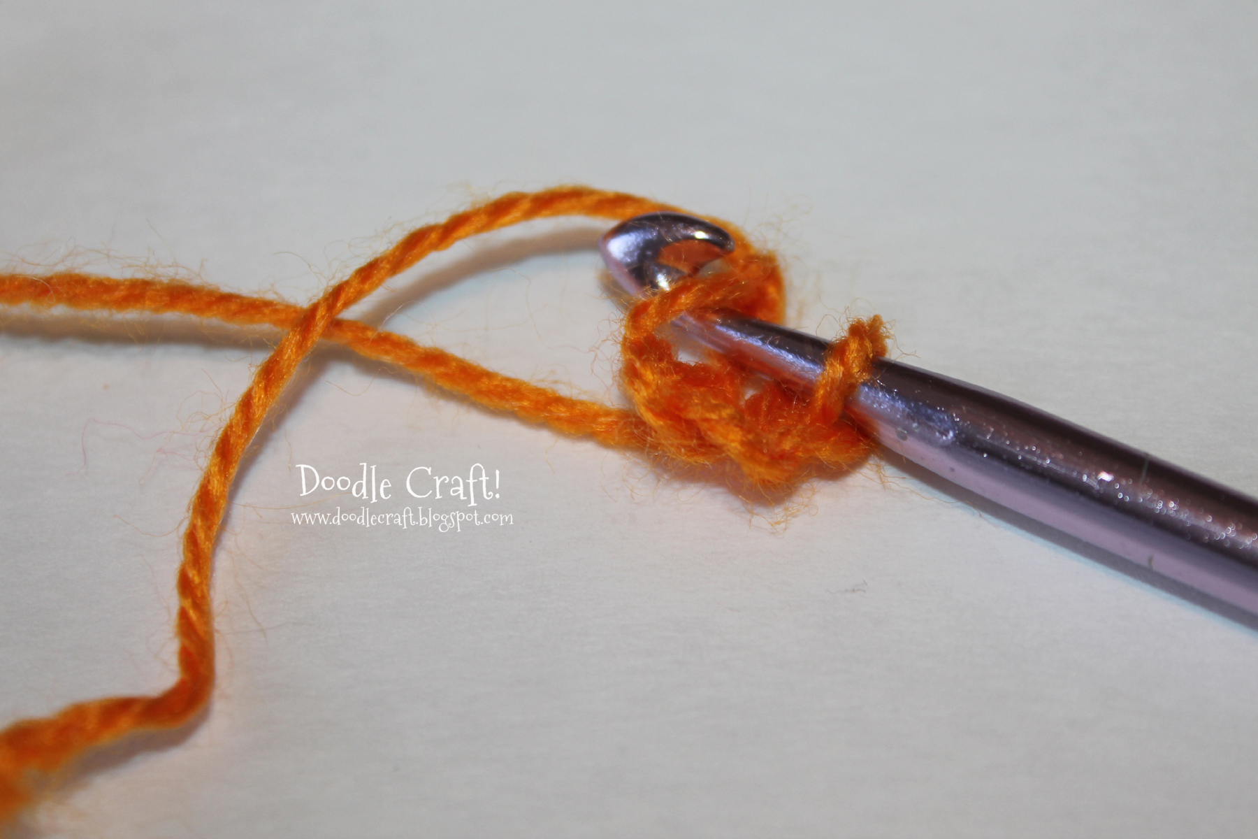 crochet a rosette step 4 back through chain stitch.jpg