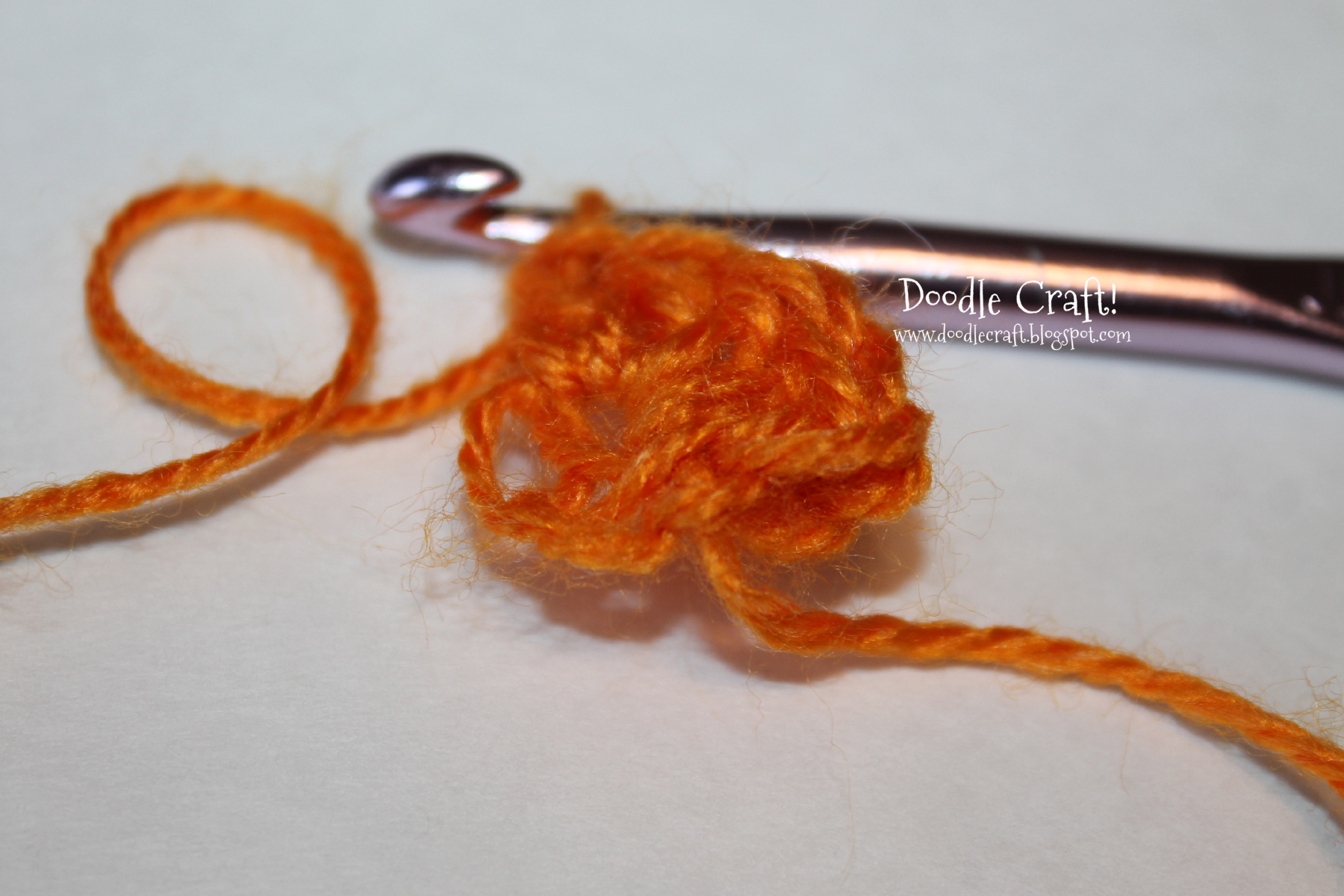 crochet a rosette step 6 double crochet 18 around loop.jpg