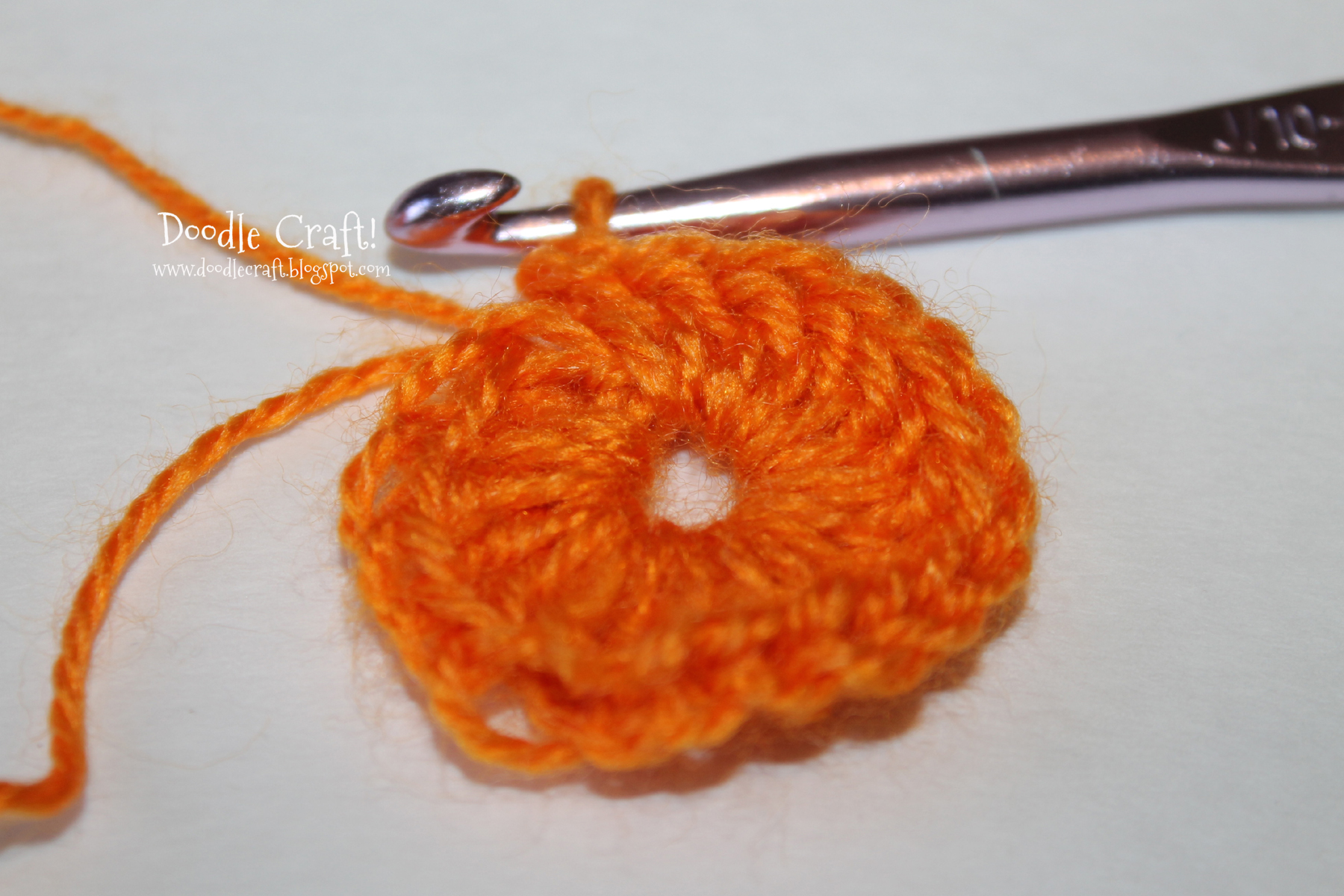 crochet a rosette step 7 double crocheted loop.jpg