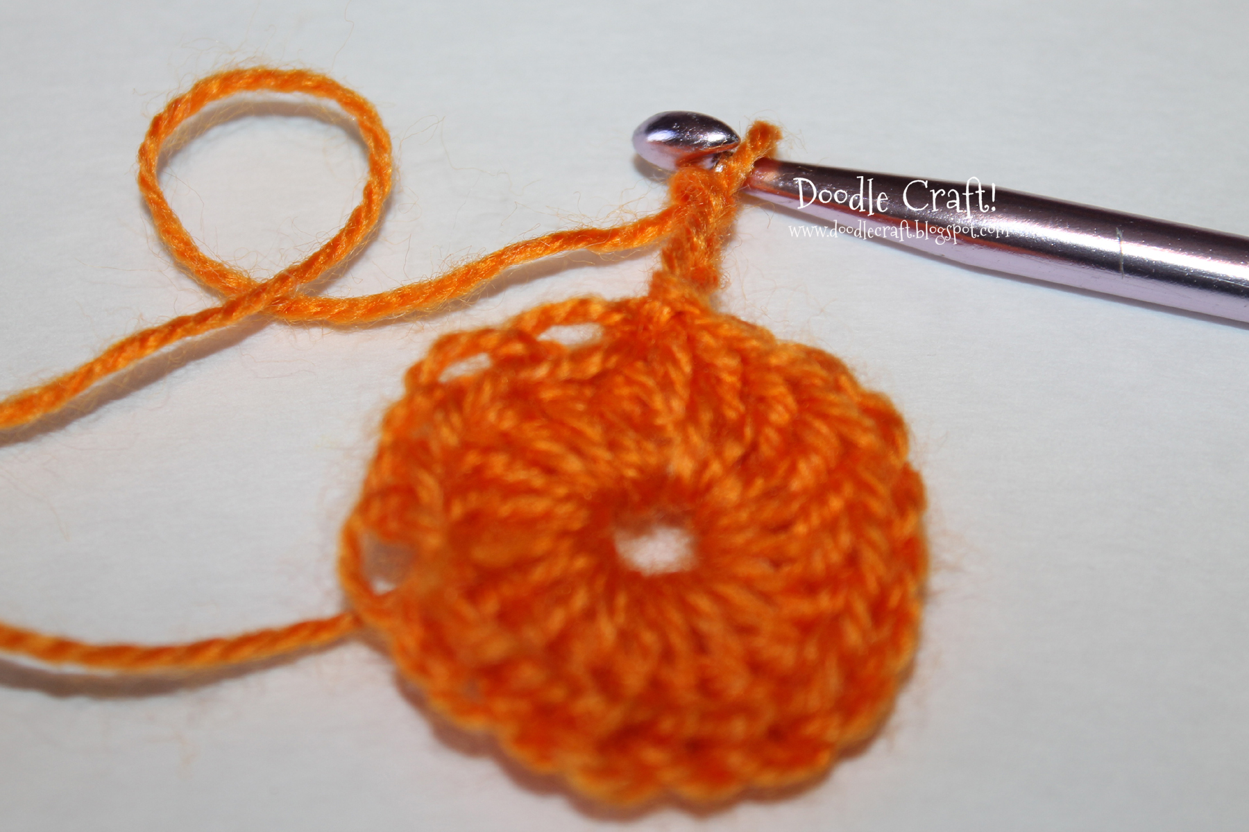 crochet a rosette step 8 chain stitch.jpg