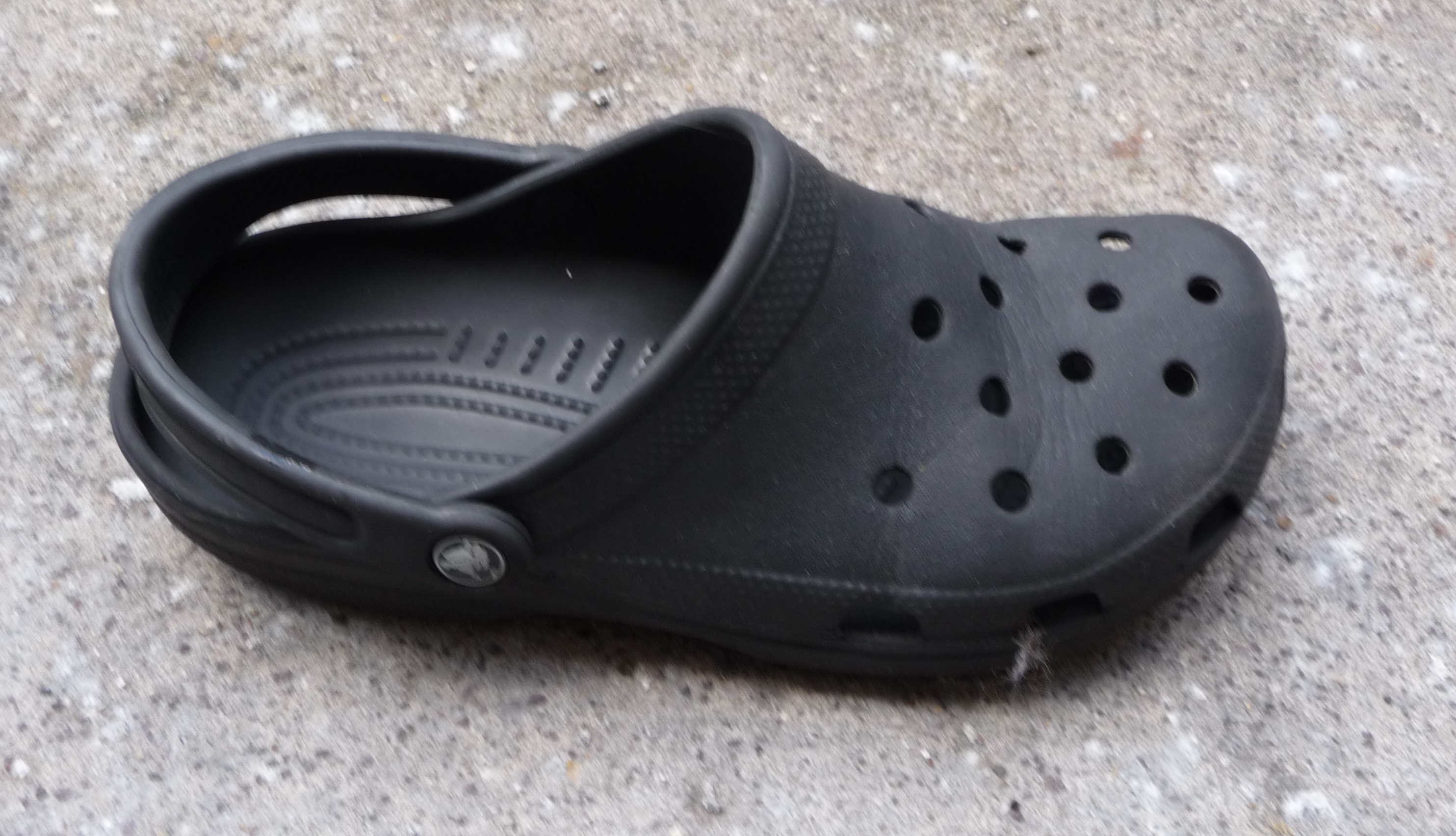 crocs.jpg