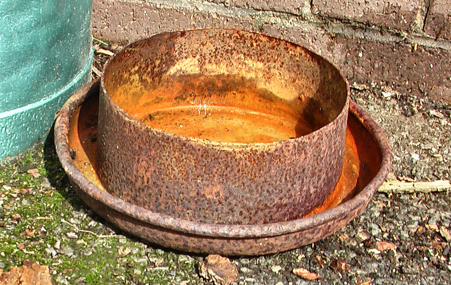 crusty rusty lid.JPG