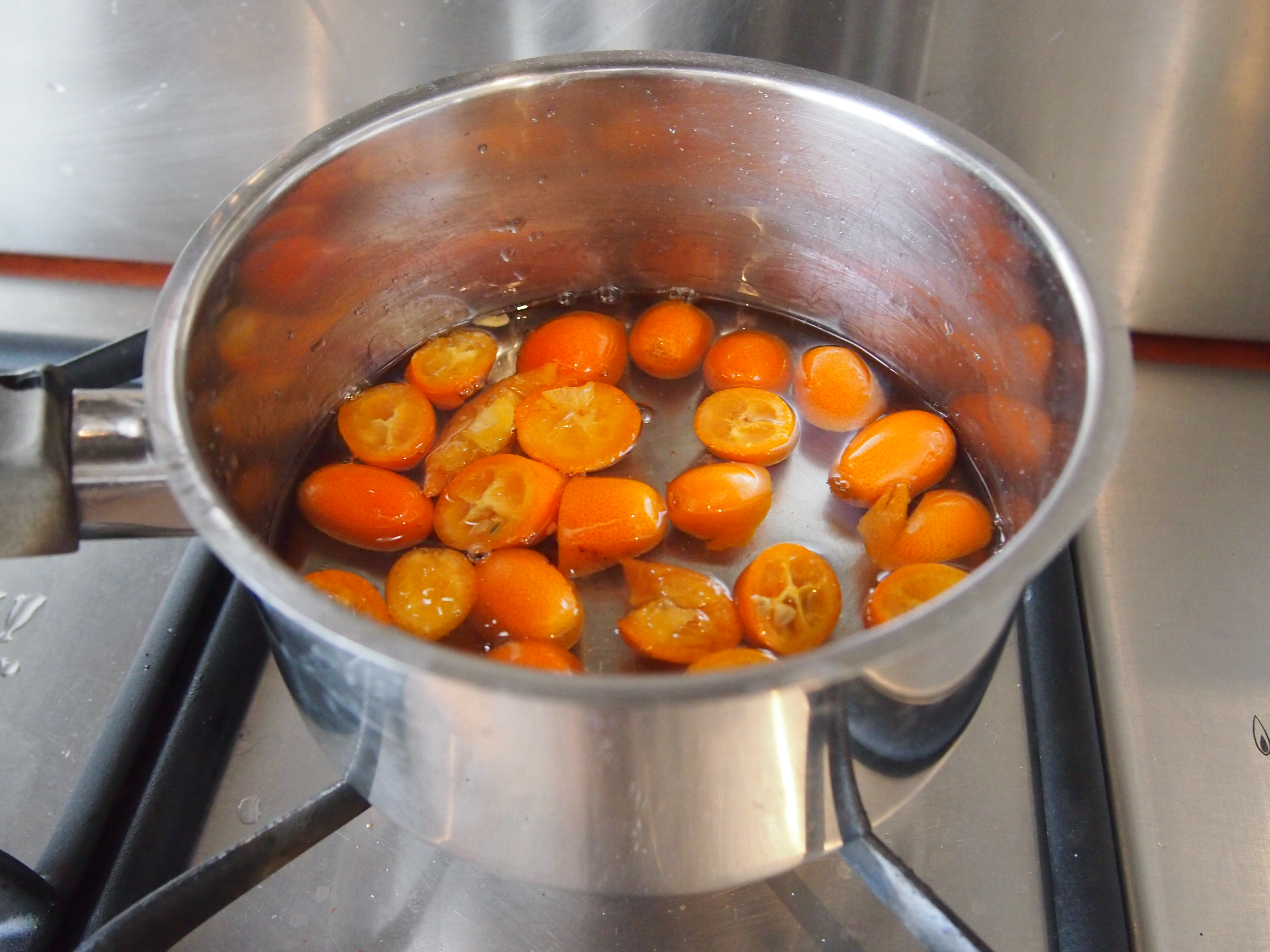 cumquats in pot.JPG