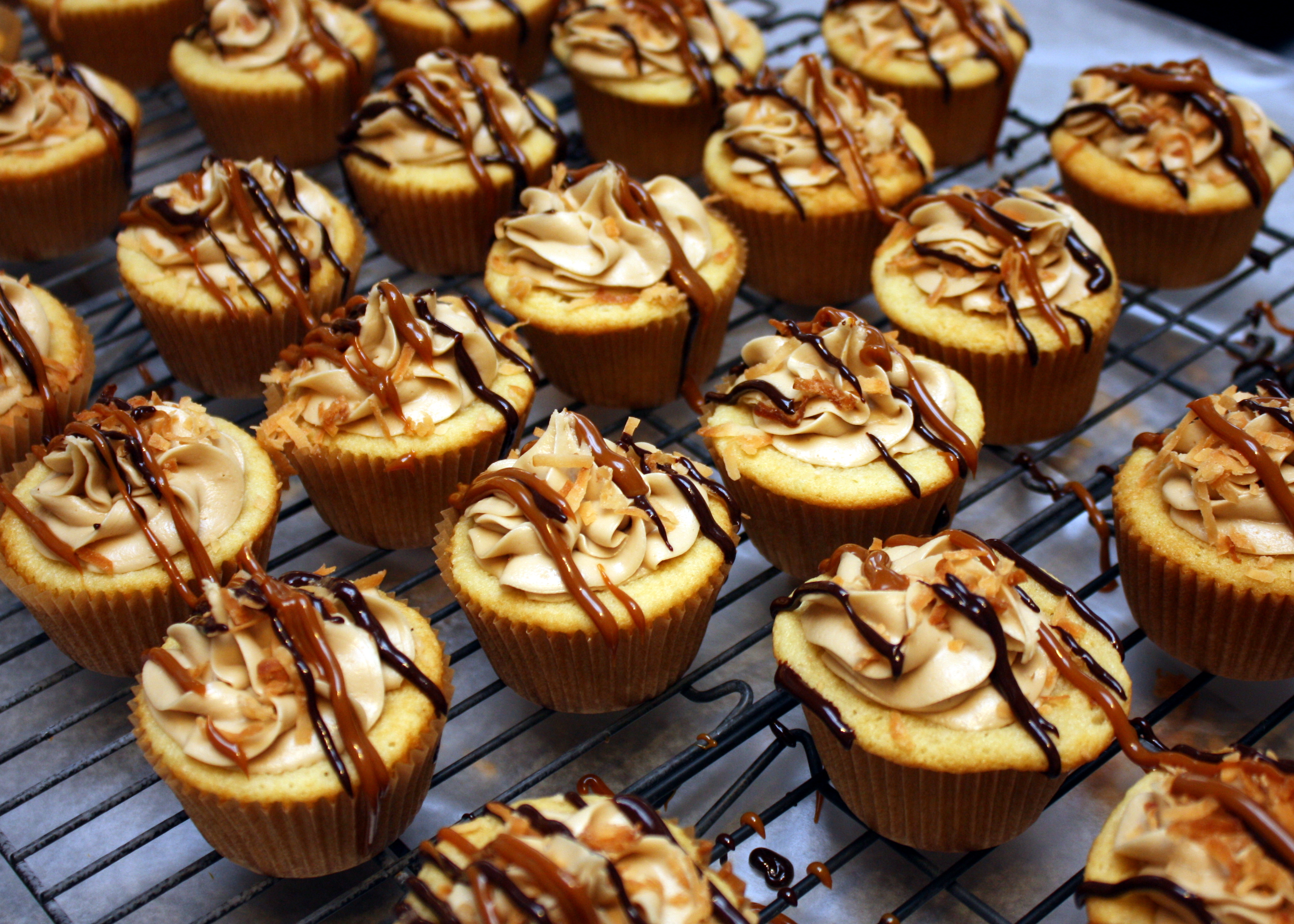 cupcakes choc caramel.jpg