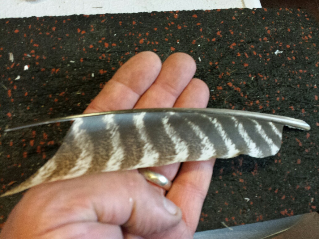 cut the two quills to length.jpg