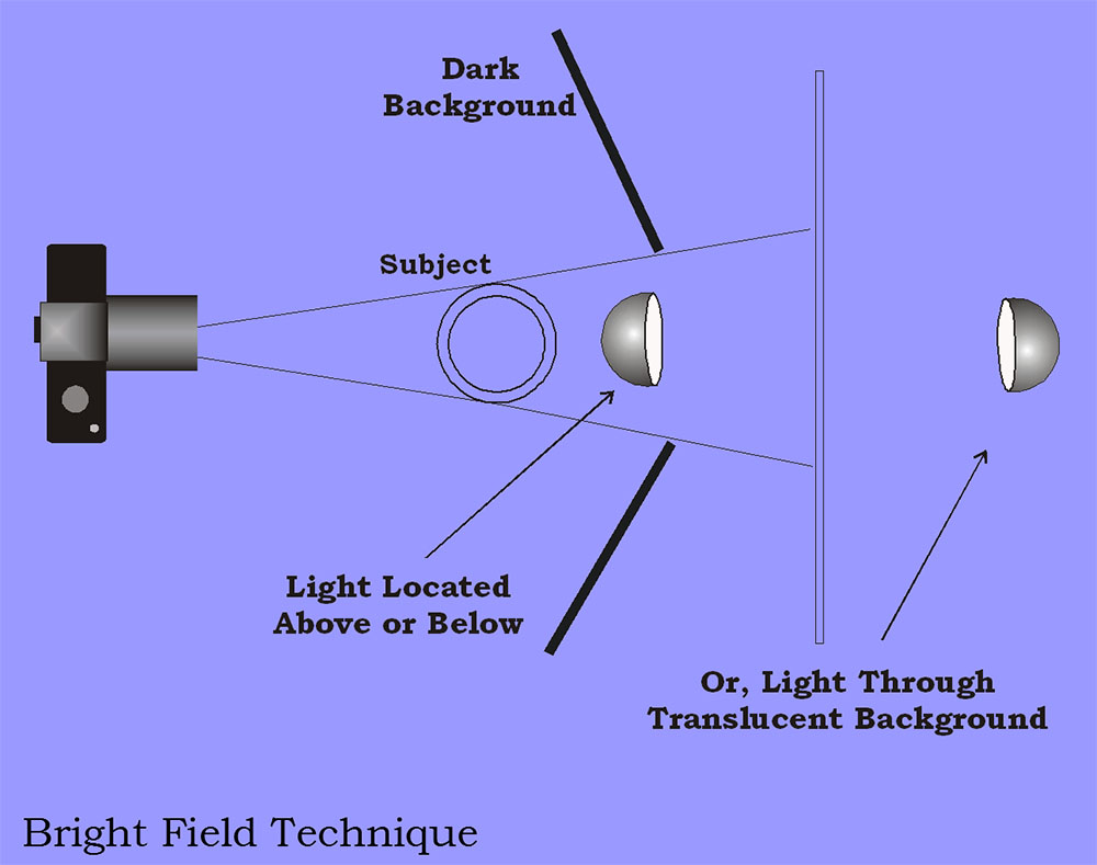 d bright tech.jpg