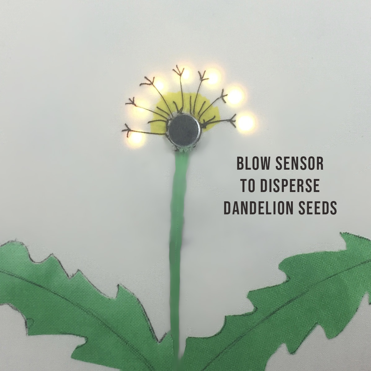 dandelion led.jpg