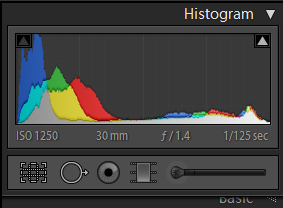 david_beck_photography_regular_histogram.png