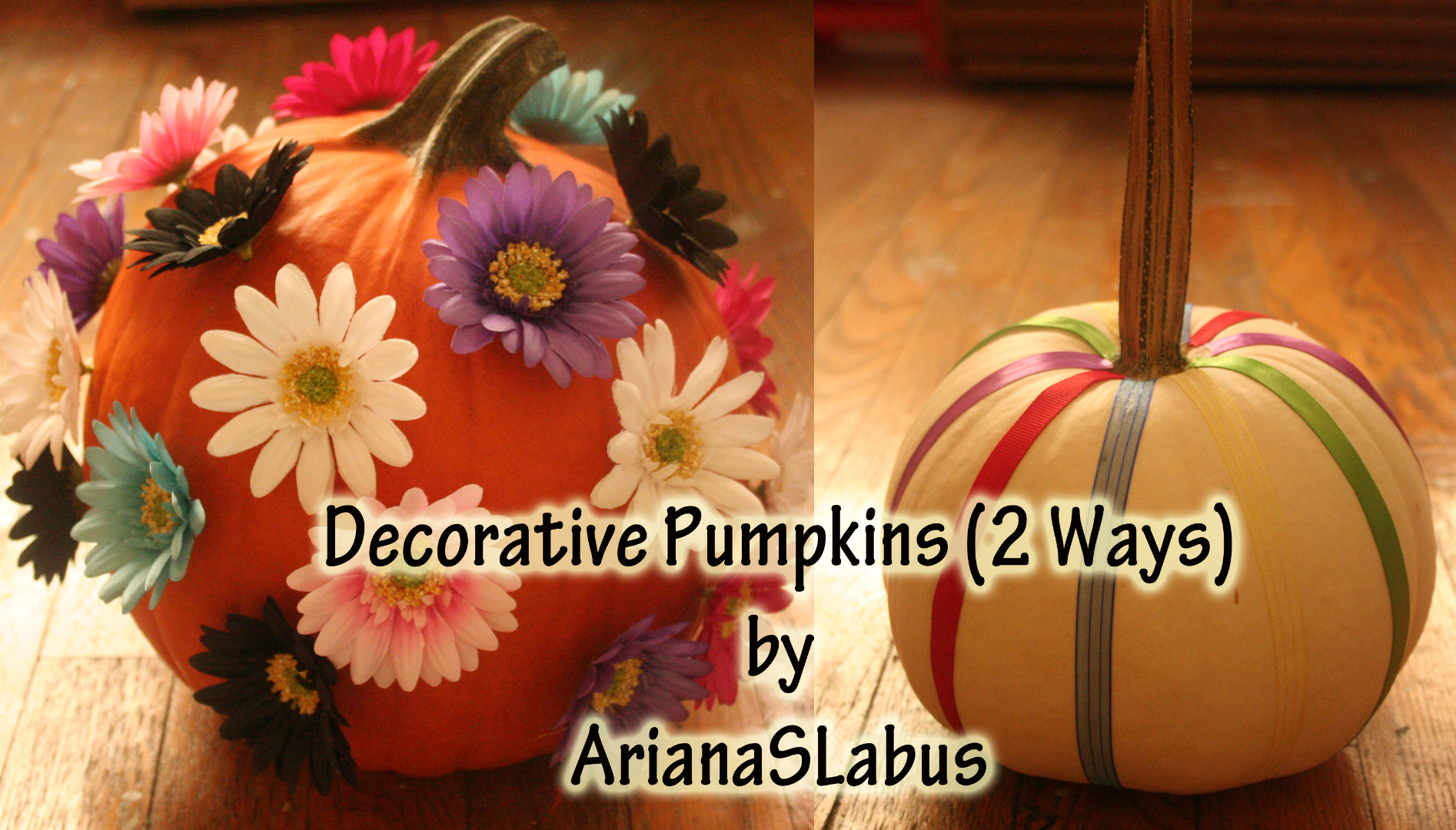 decorative pumpkins intro photo.jpg