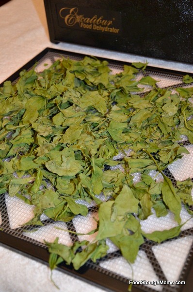 dehydrated-spinach-ready-store.jpg