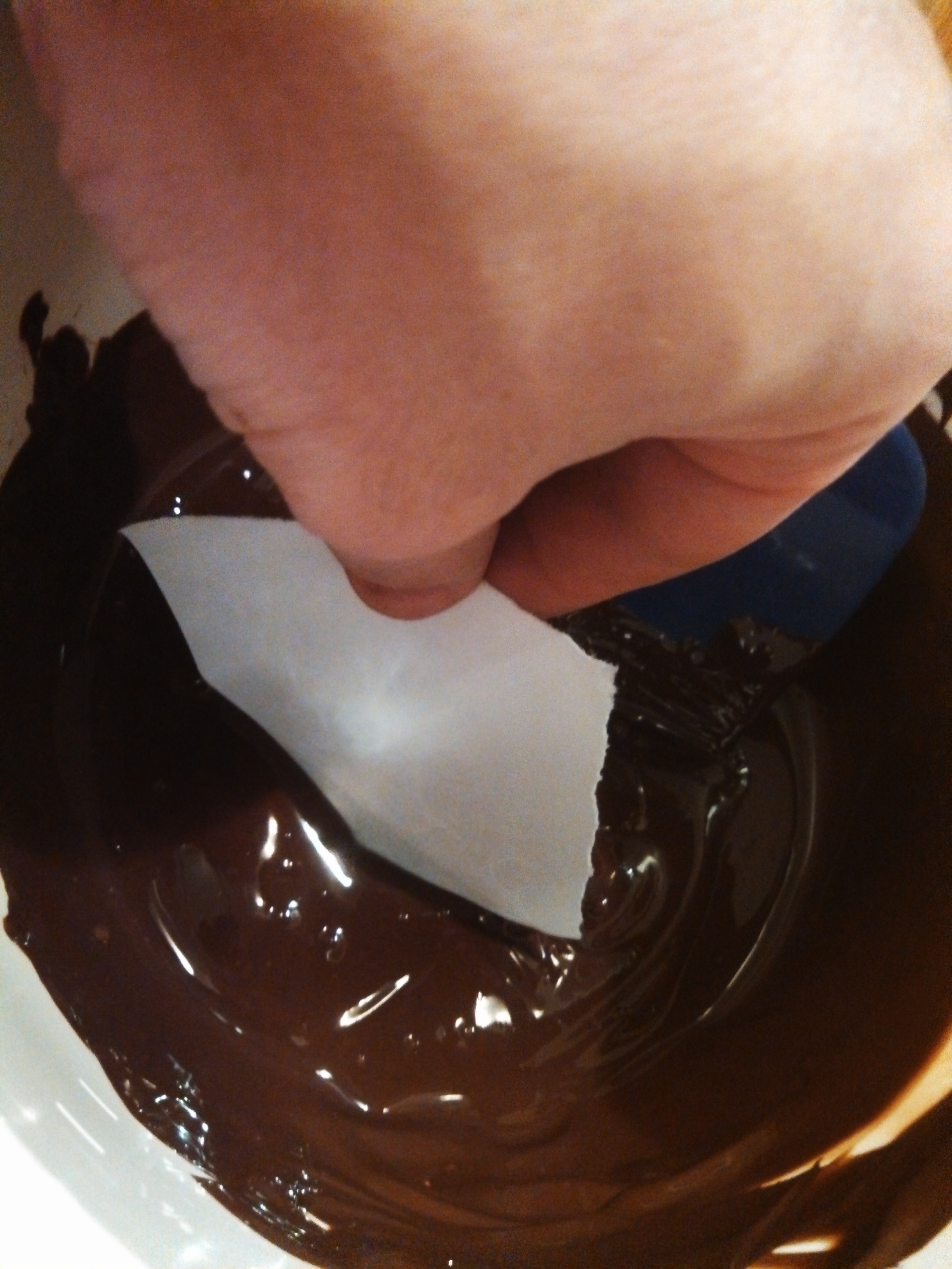 dippin strips.jpg