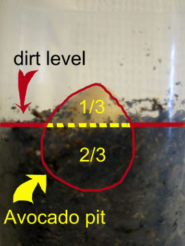 dirt level.jpg