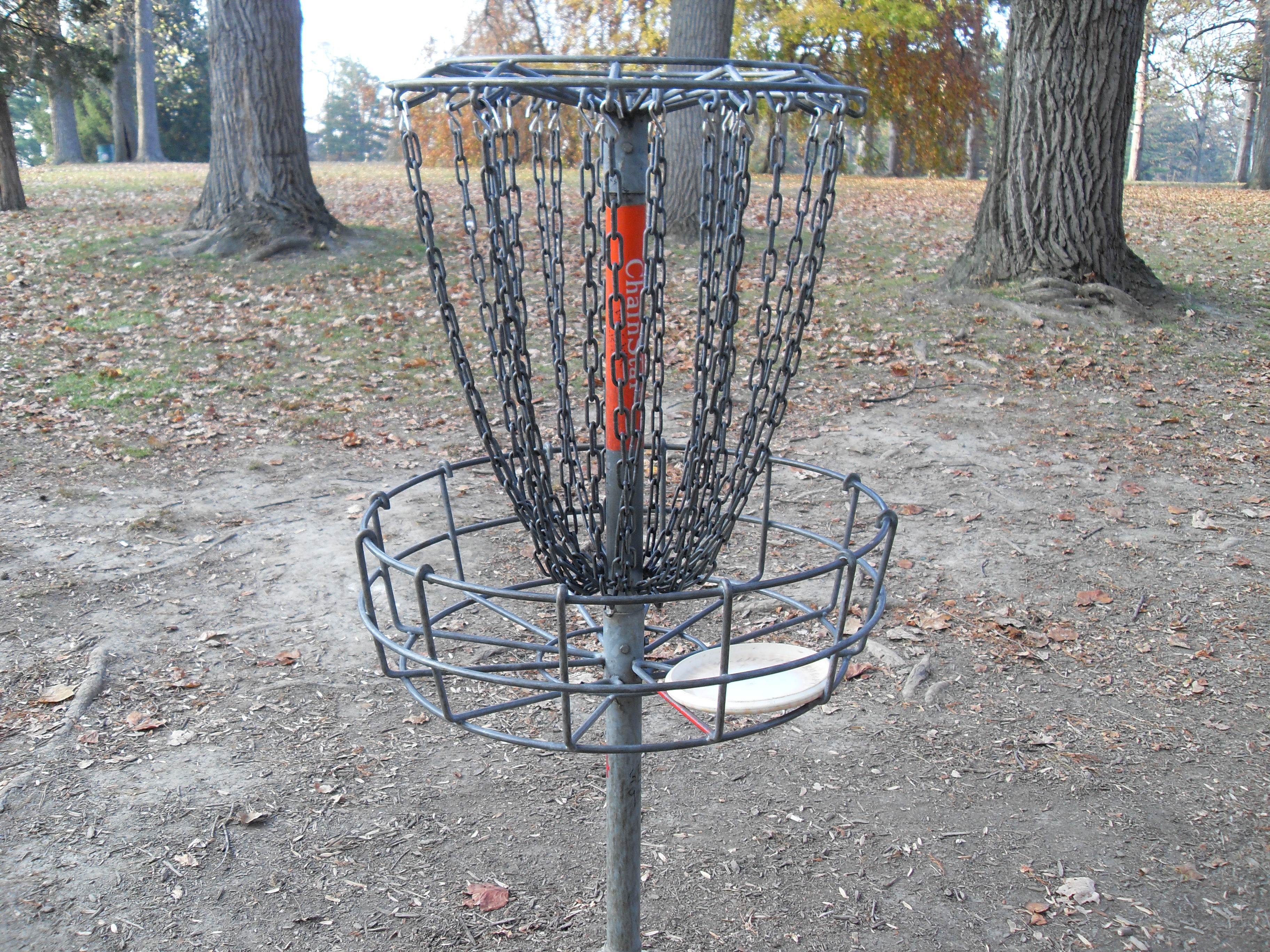 disc golf 011.jpg