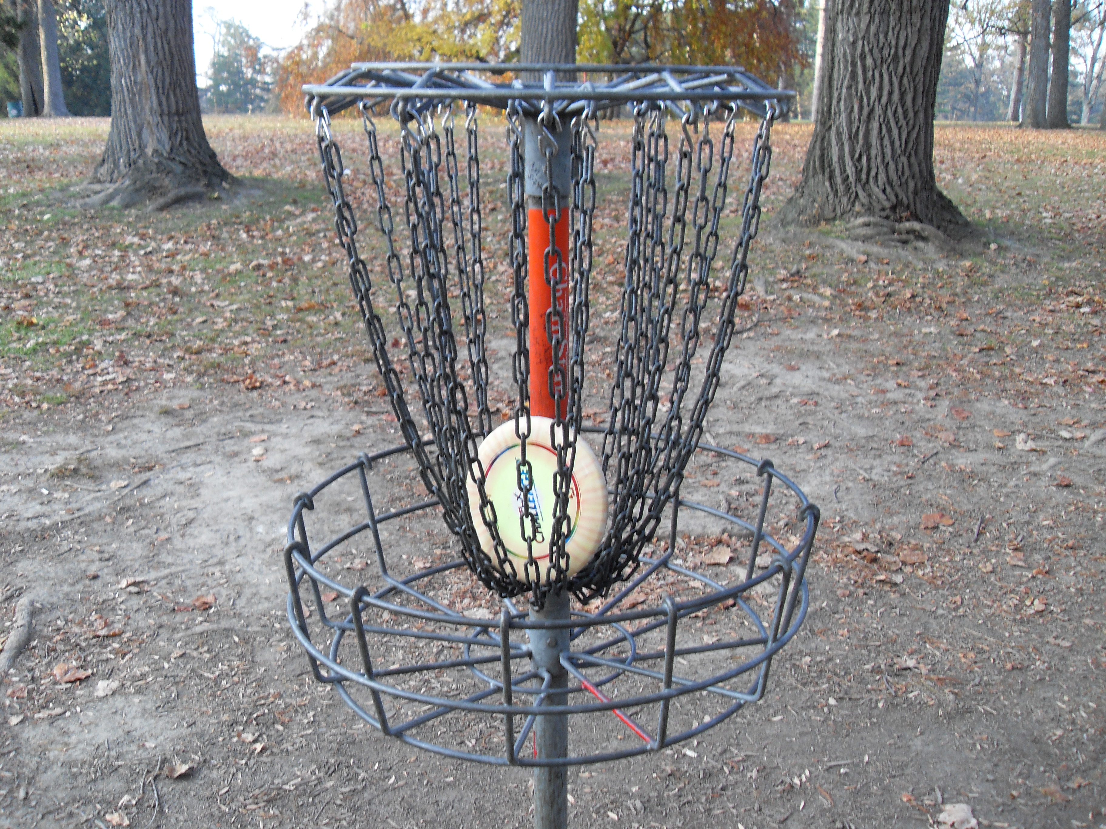 disc golf 012.jpg