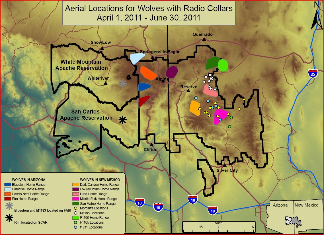 distribution map.JPG