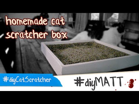 diy homemade cat scratch box