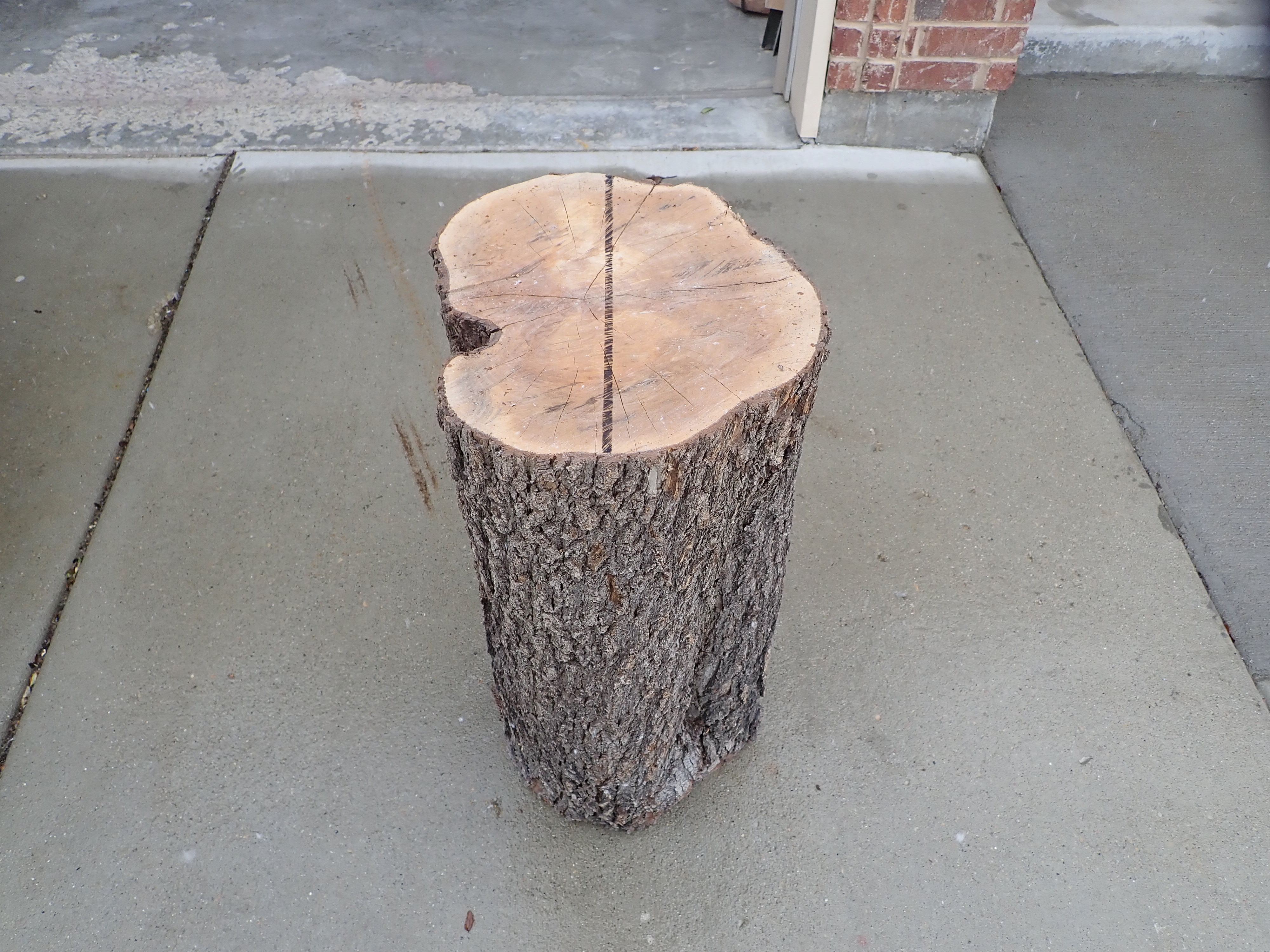 diy make homeade log bench (10).JPG