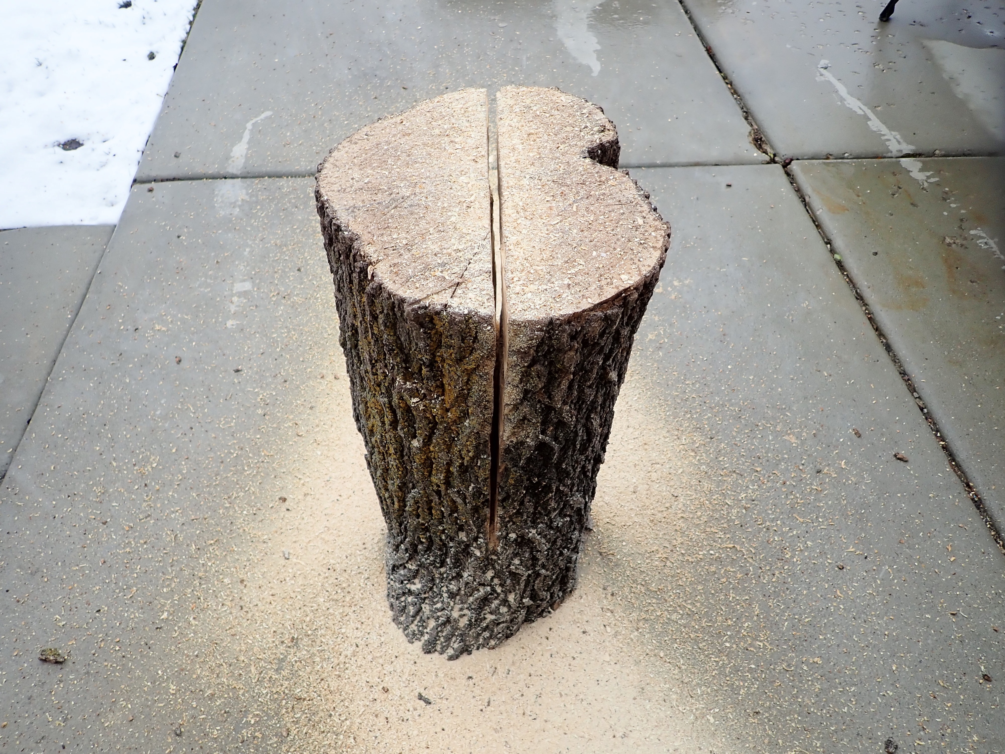 diy make homeade log bench (11).JPG