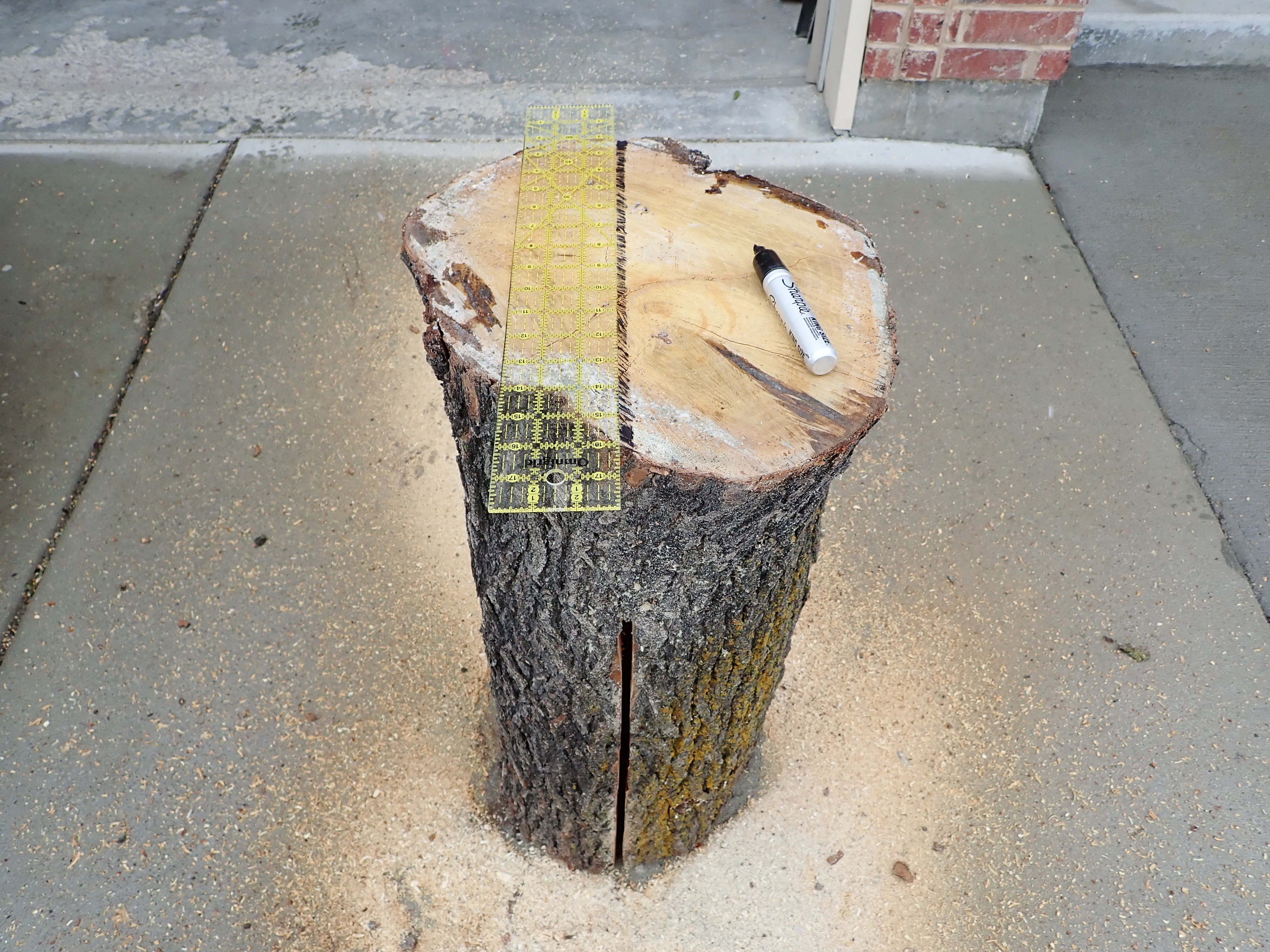 diy make homeade log bench (14).JPG