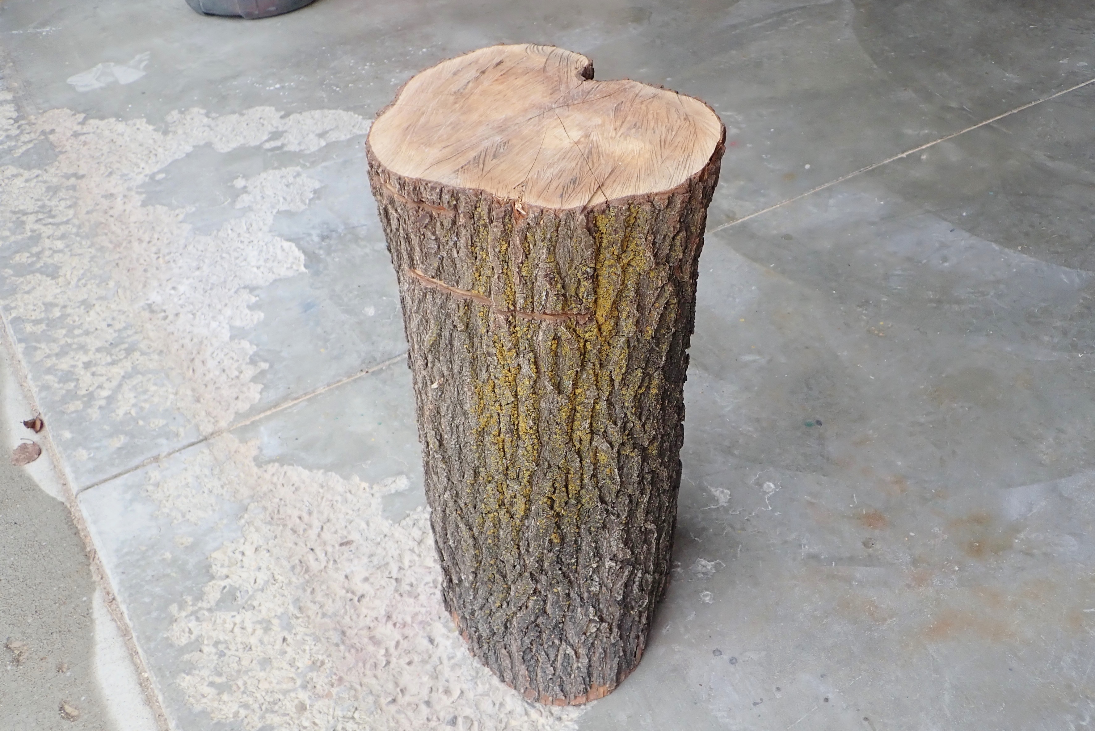 diy make homeade log bench (6).JPG