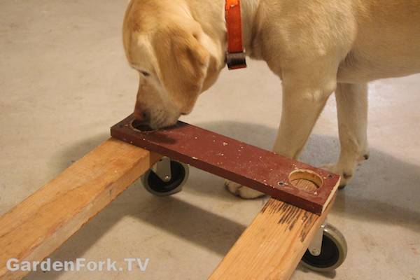 diy-rolling-garage-shelves-3.jpg