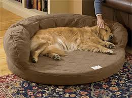 dog bed.jpg