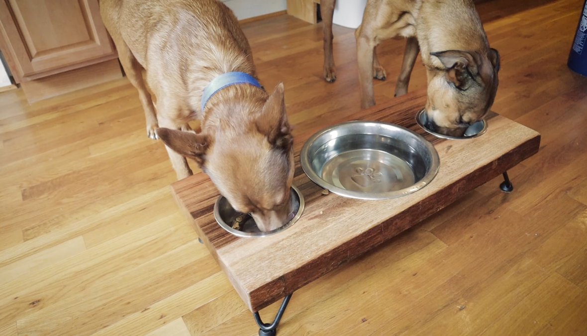 dog food bowl stand diy.PNG